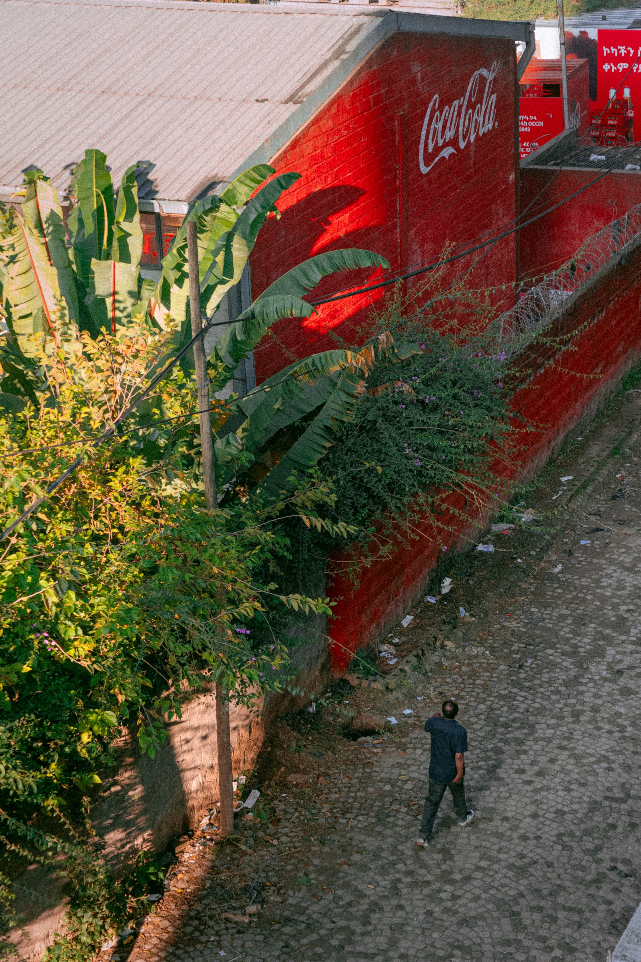 По дорогам Эфиопии. Юля Дэй • Фотограф, Санкт-Петербург