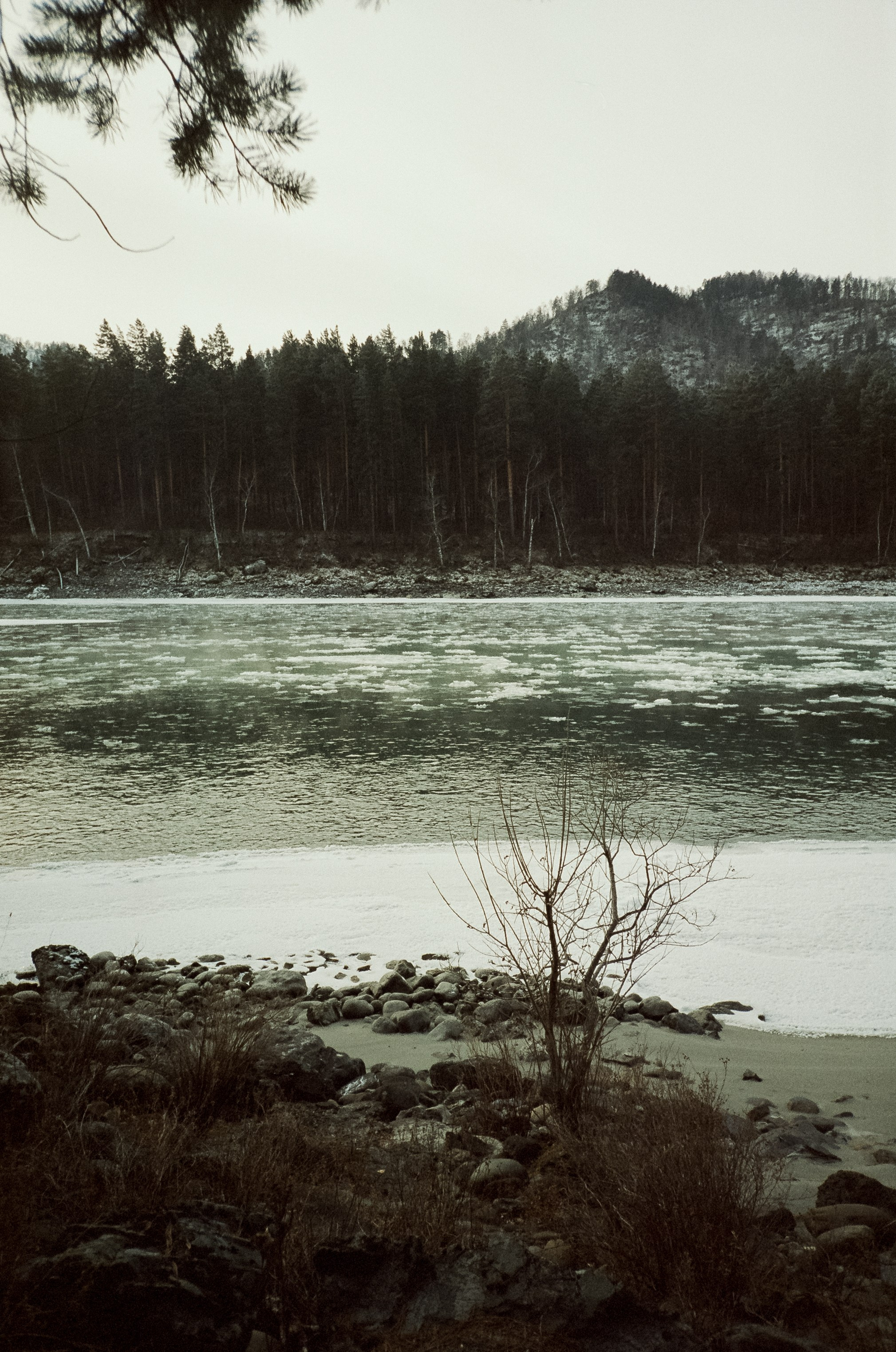 Дорога вдоль горной реки Куюм и локации Чемальского тракта. Фотограф-документалист Мария Осокина