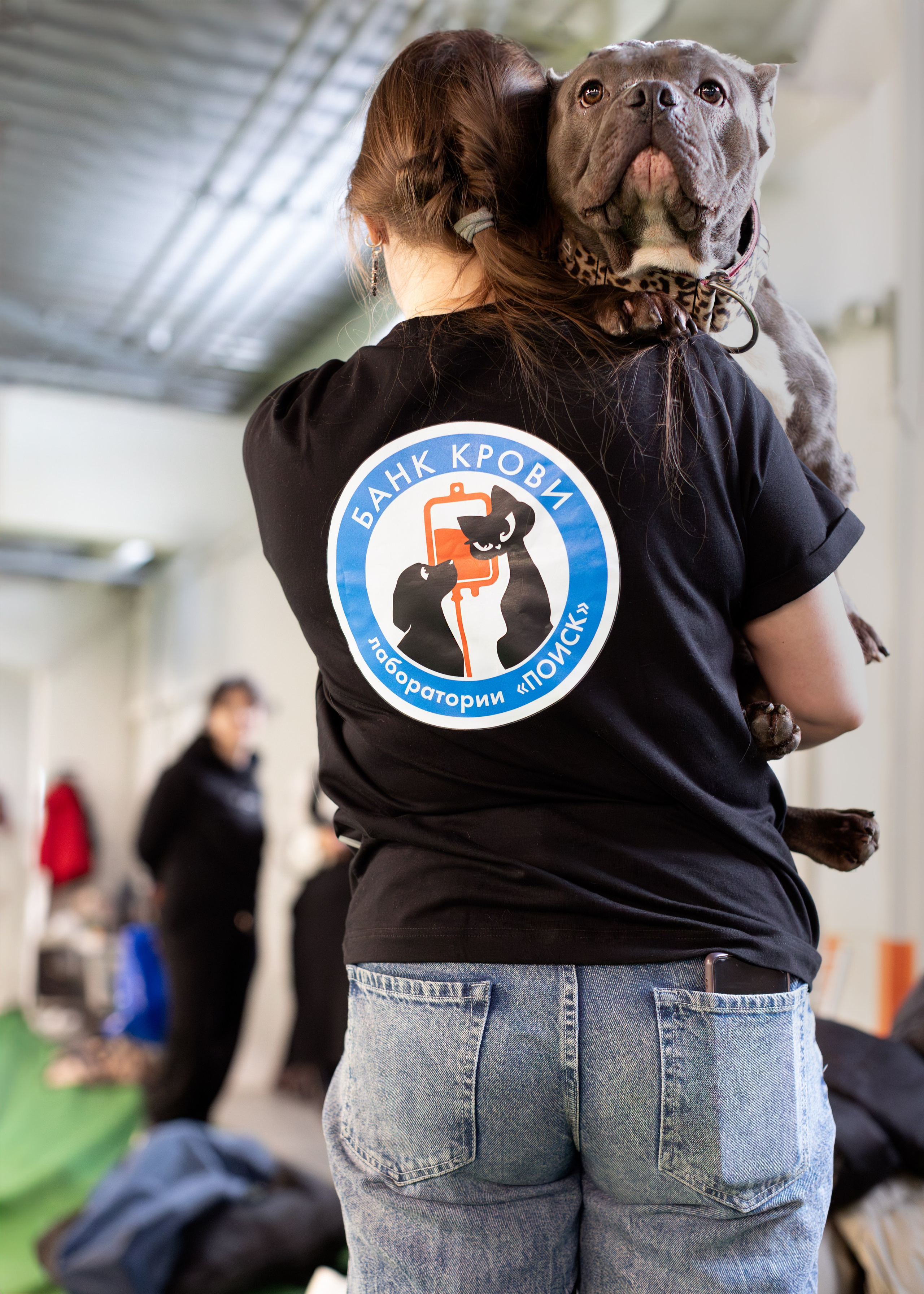 Выставки. Портретная и семейная съемка. Фотограф анималист