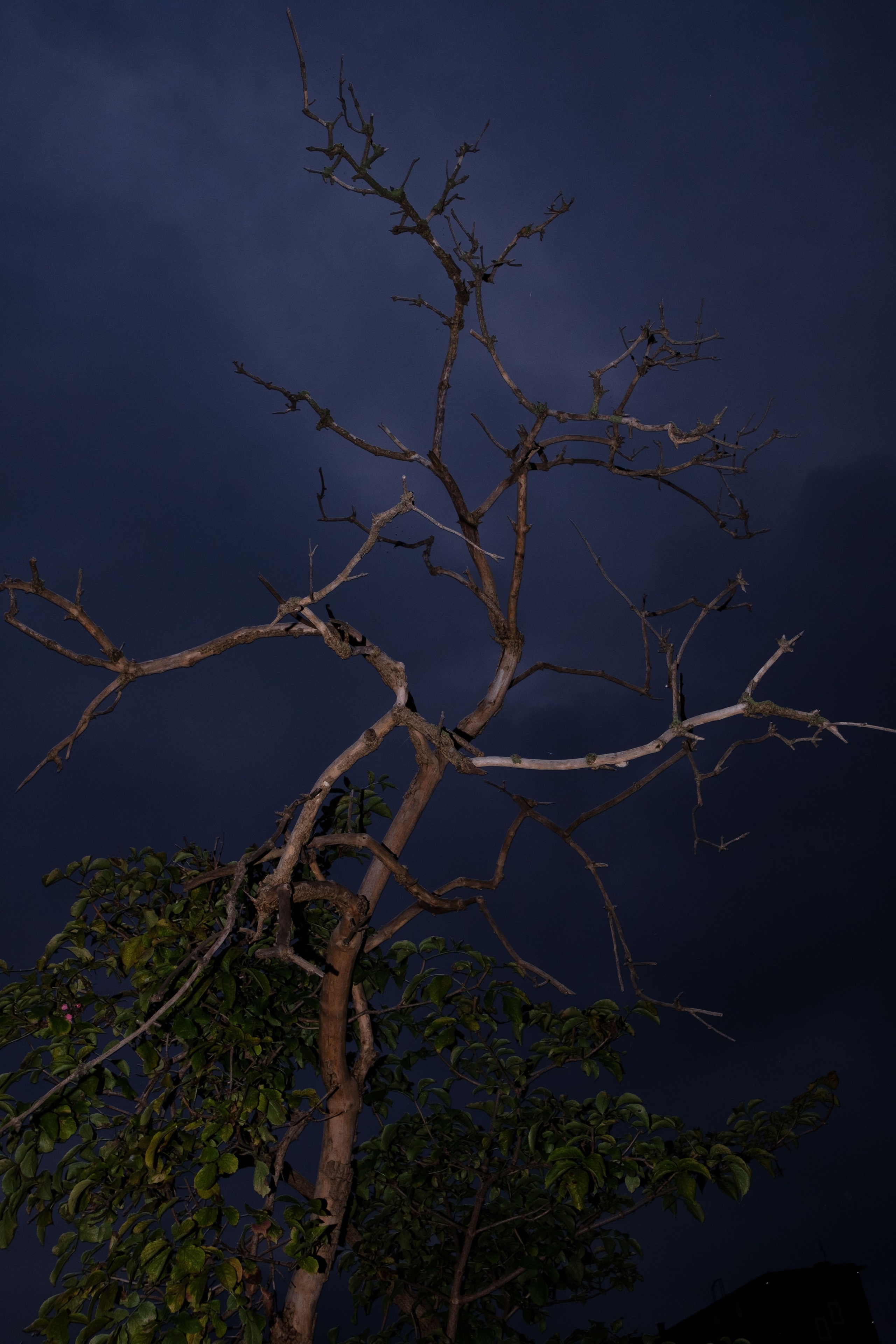 Simple. Photos. Photographer, Documentary and Art