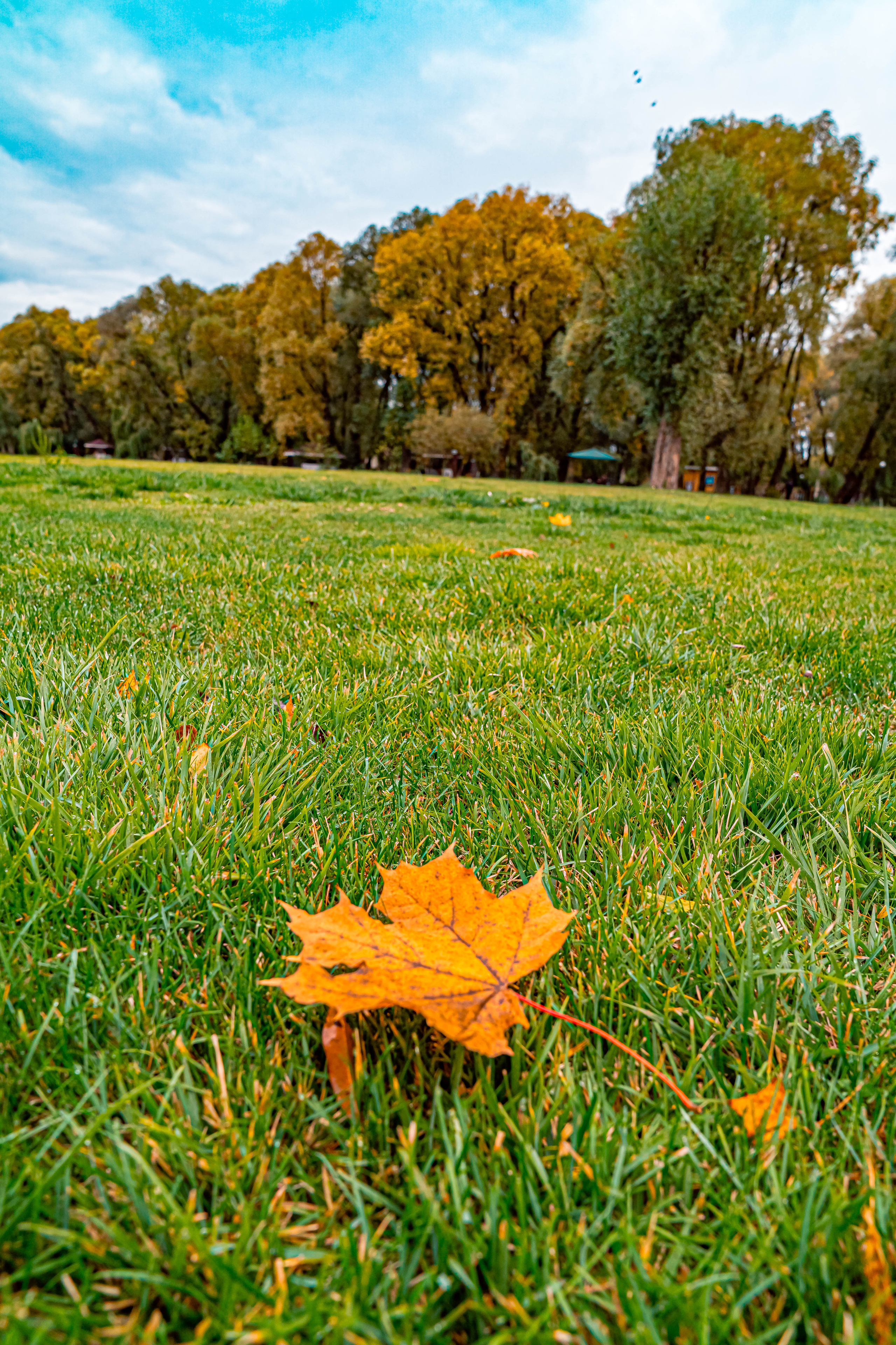 ПАРК-ОТЕЛЬ «ОСТРОВ». Фото и видео съёмка на заказ. VAU Studia. Москва