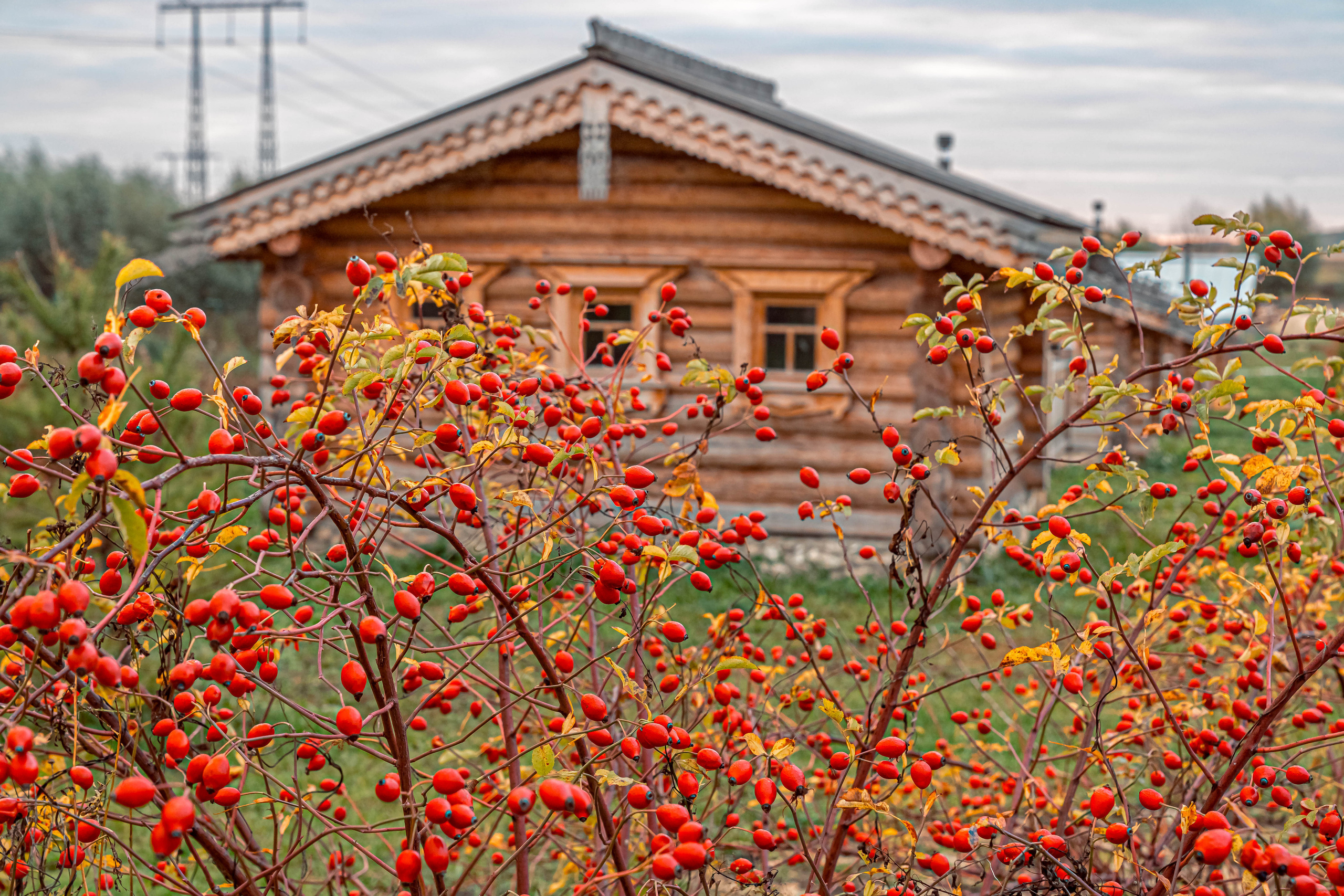 ПАРК-ОТЕЛЬ «ОСТРОВ». Фото и видео съёмка на заказ. VAU Studia. Москва