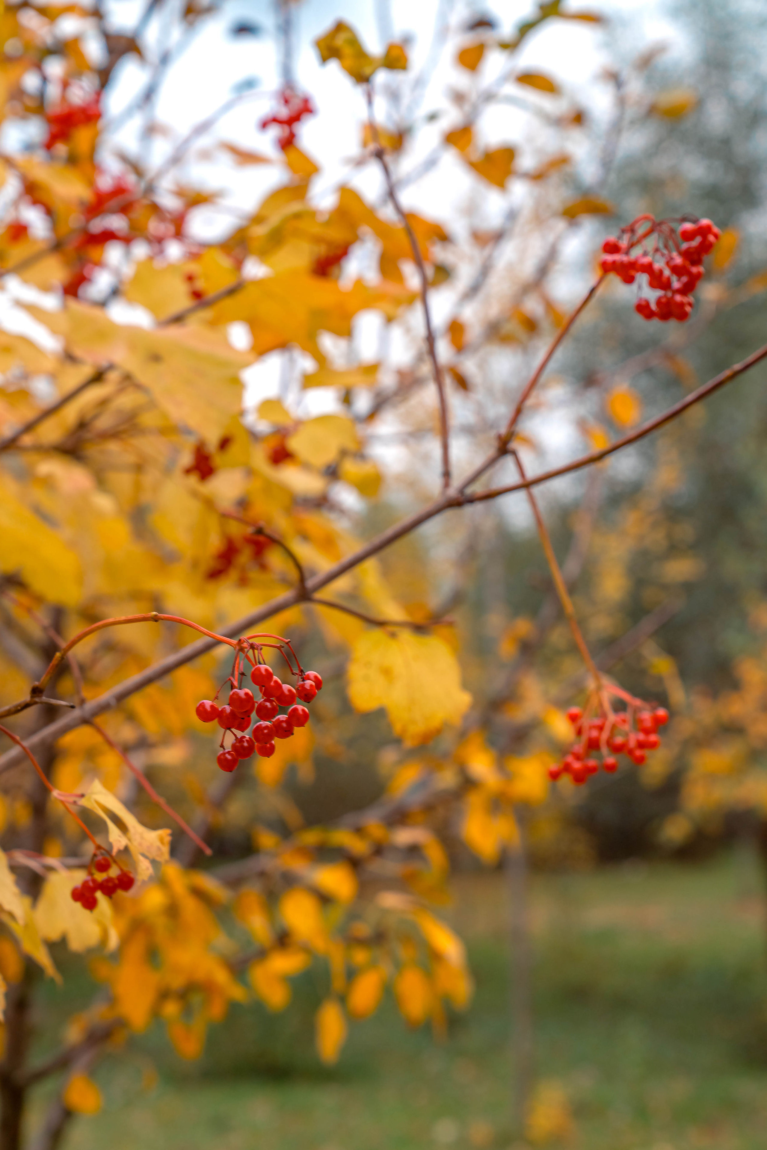 ПАРК-ОТЕЛЬ «ОСТРОВ». Фото и видео съёмка на заказ. VAU Studia. Москва