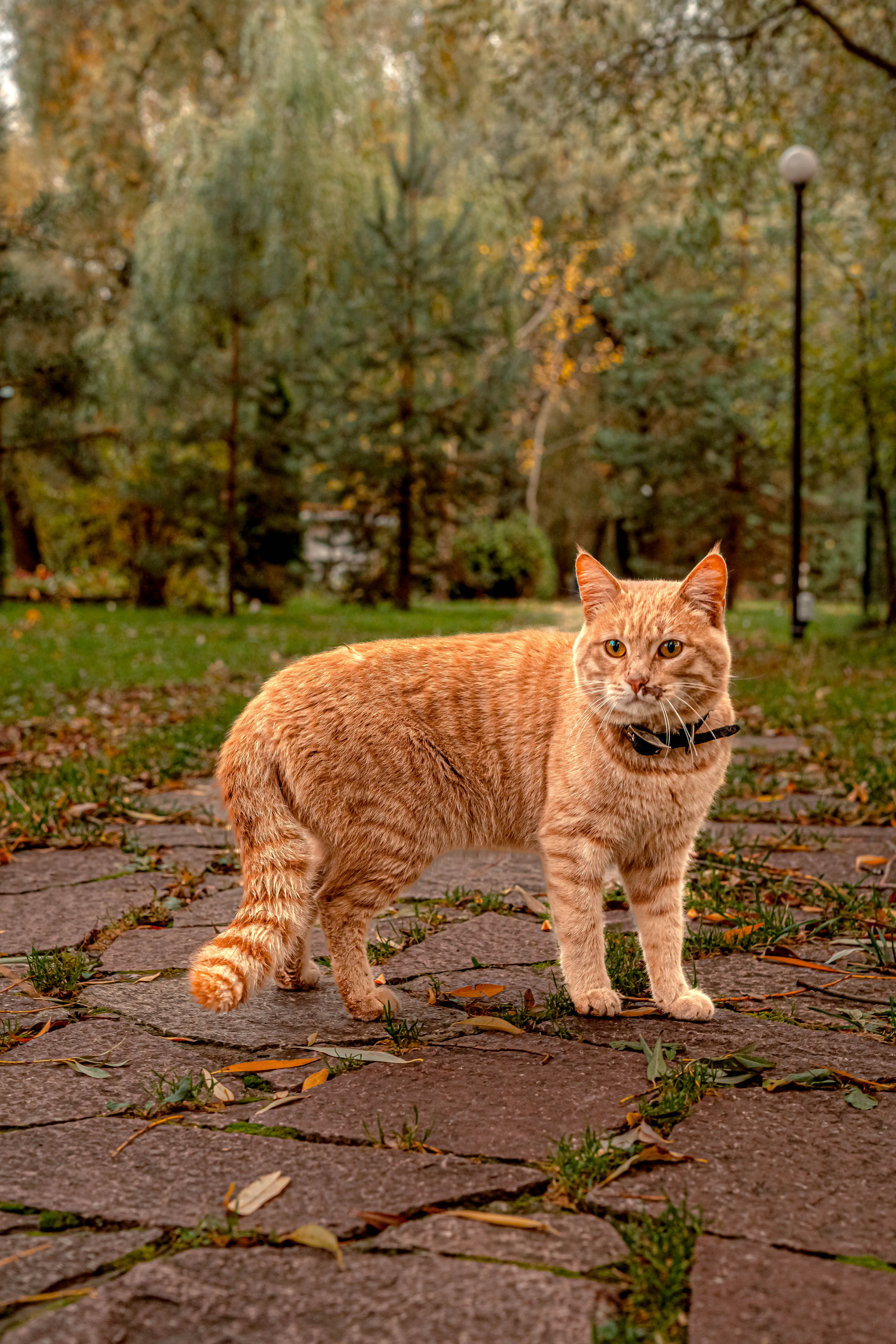 ПАРК-ОТЕЛЬ «ОСТРОВ». Фото и видео съёмка на заказ. VAU Studia. Москва