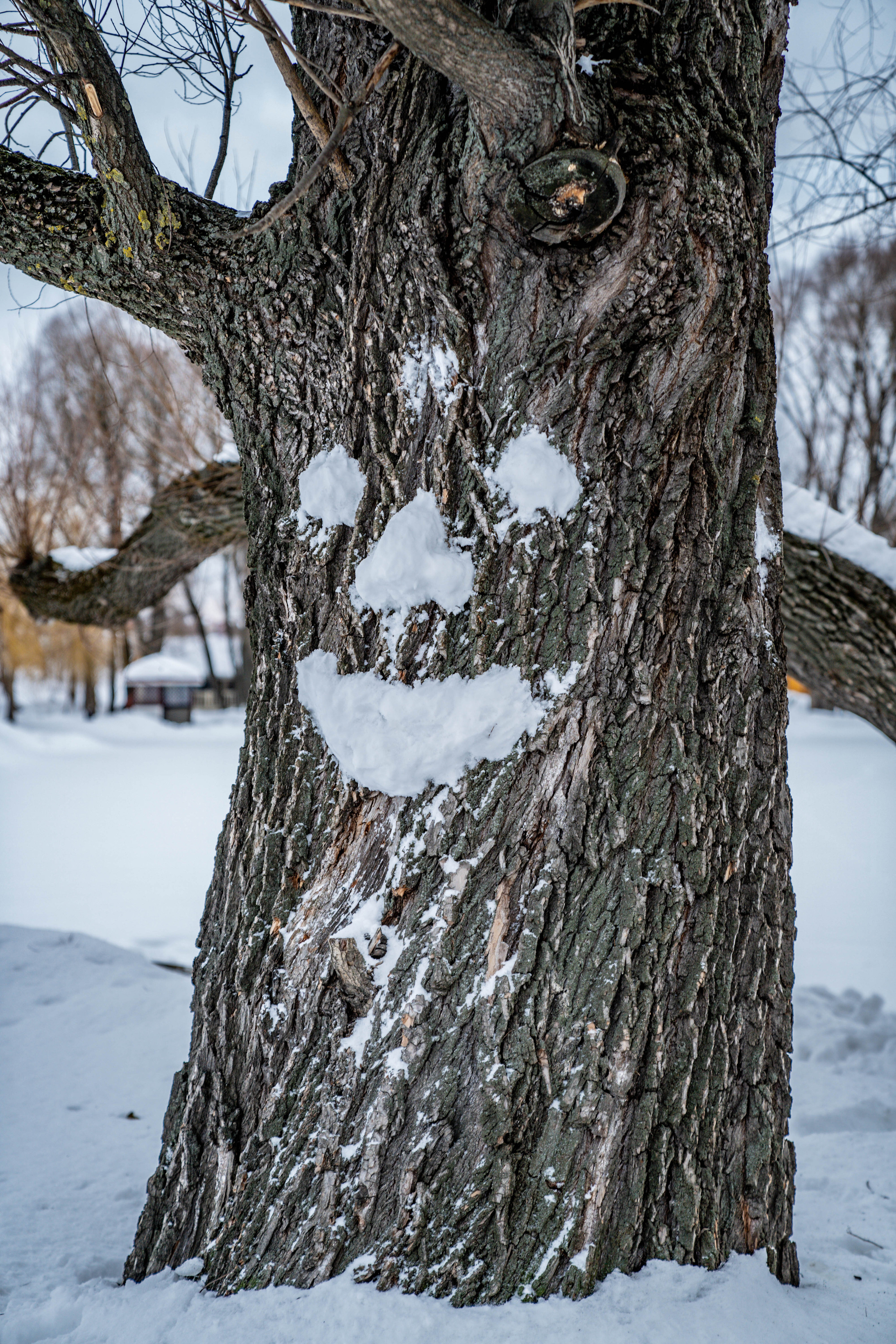 Катание на ватрушках в Рыболовной усадьбе «Остров». Фото и видео съёмка на заказ. VAU Studia. Москва