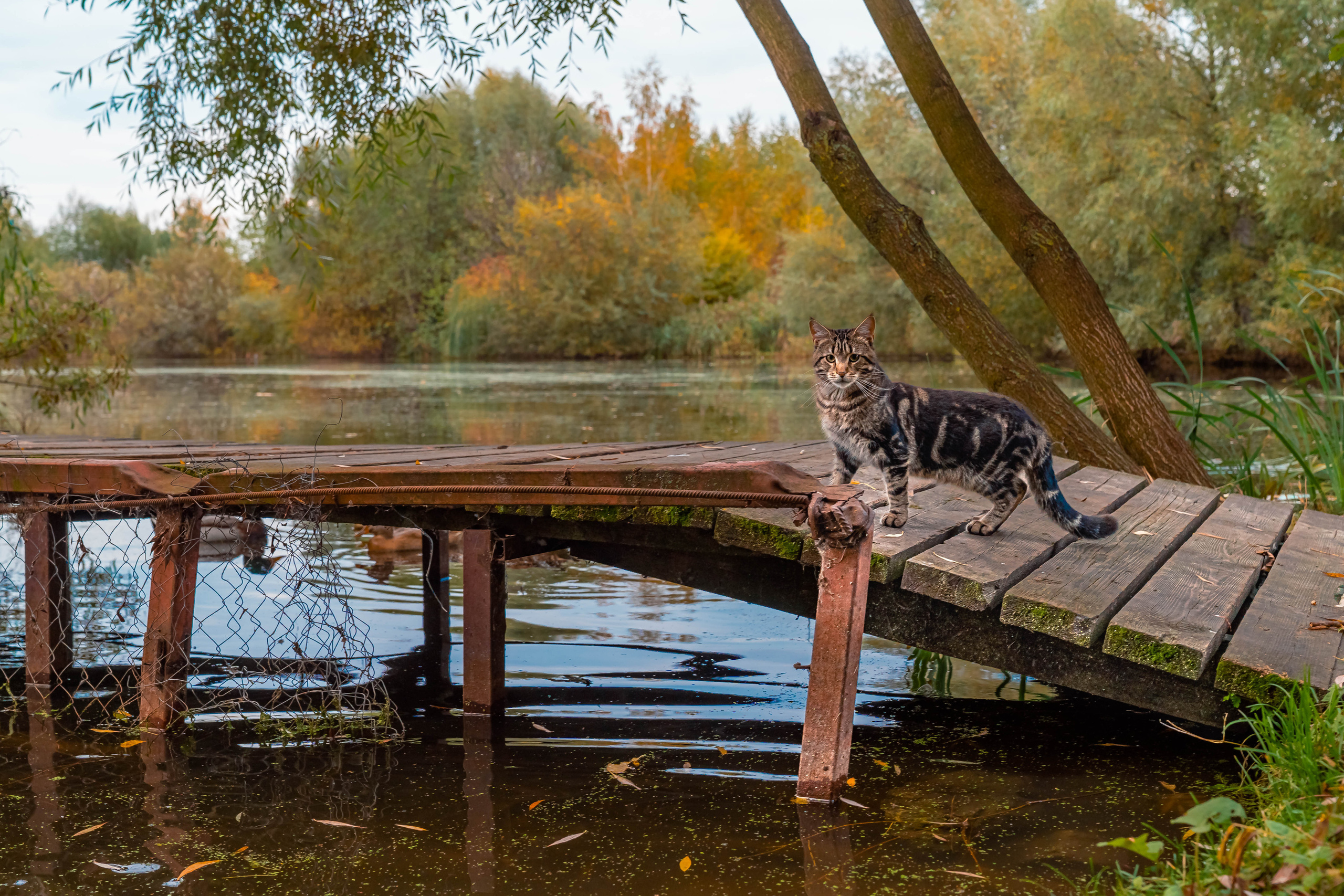 ПАРК-ОТЕЛЬ «ОСТРОВ». Фото и видео съёмка на заказ. VAU Studia. Москва
