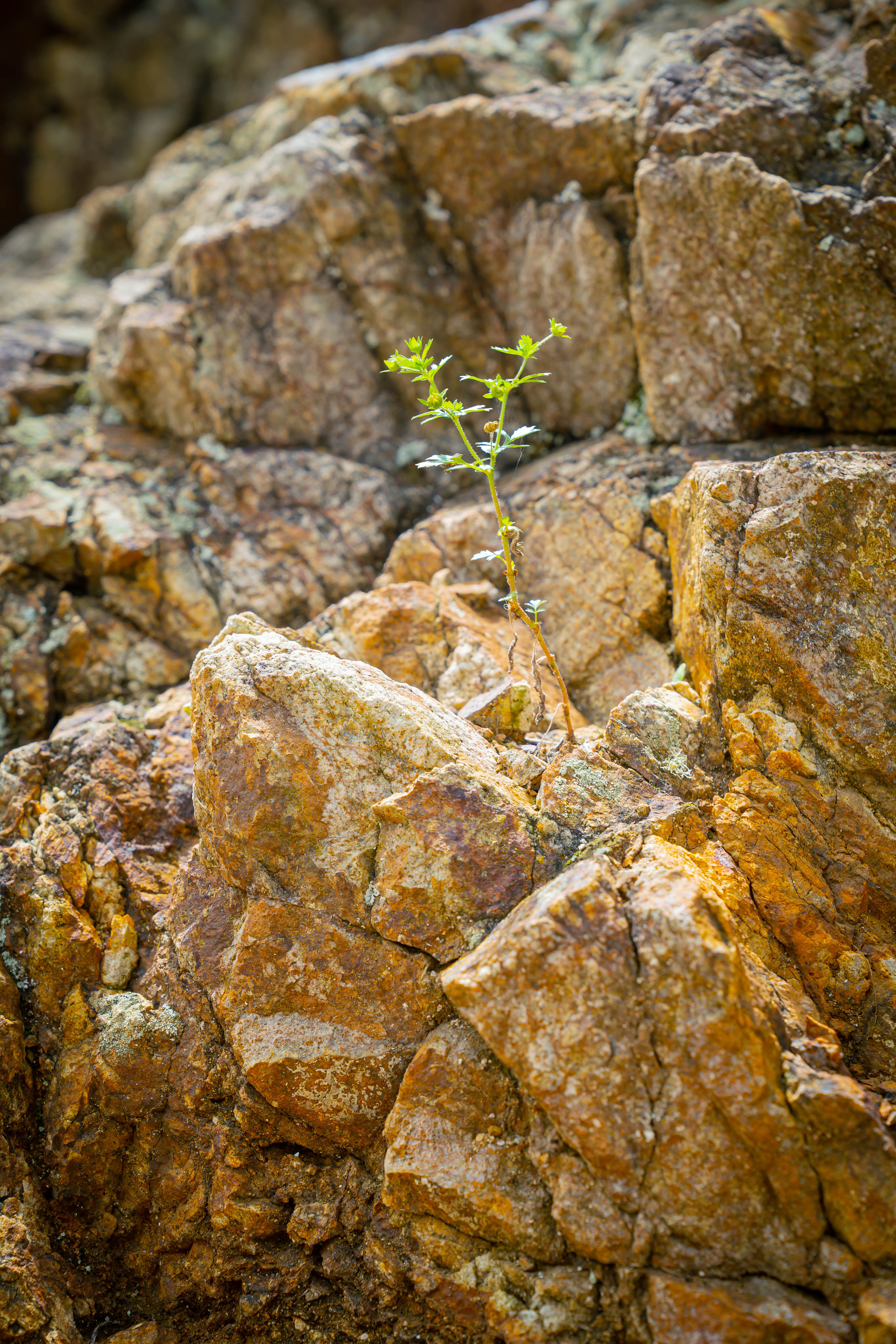 ДАЛЬНИЙ ВОСТОК. Фото и видео съёмка на заказ. VAU Studia. Москва