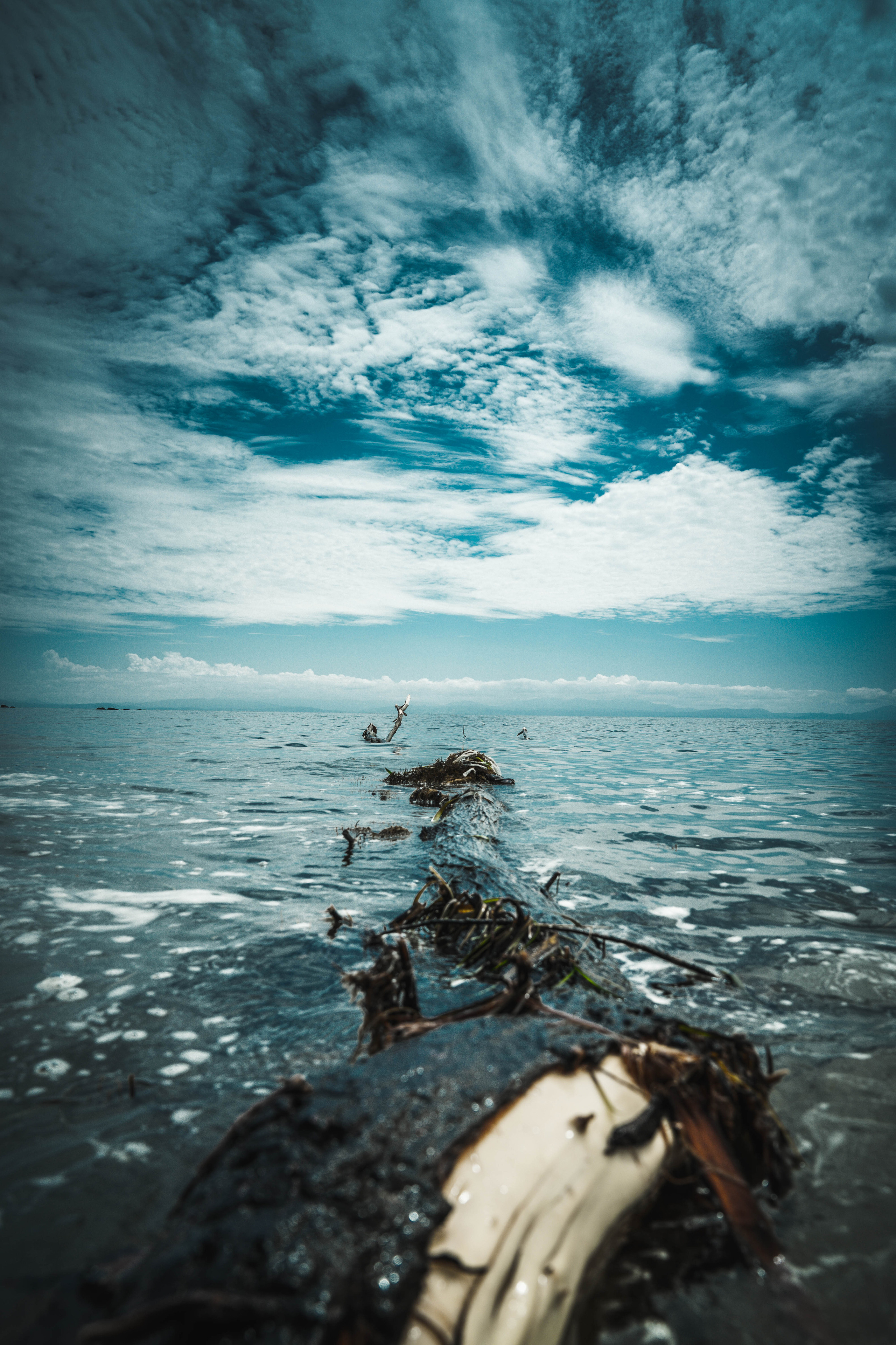 ДАЛЬНИЙ ВОСТОК. Фото и видео съёмка на заказ. VAU Studia. Москва