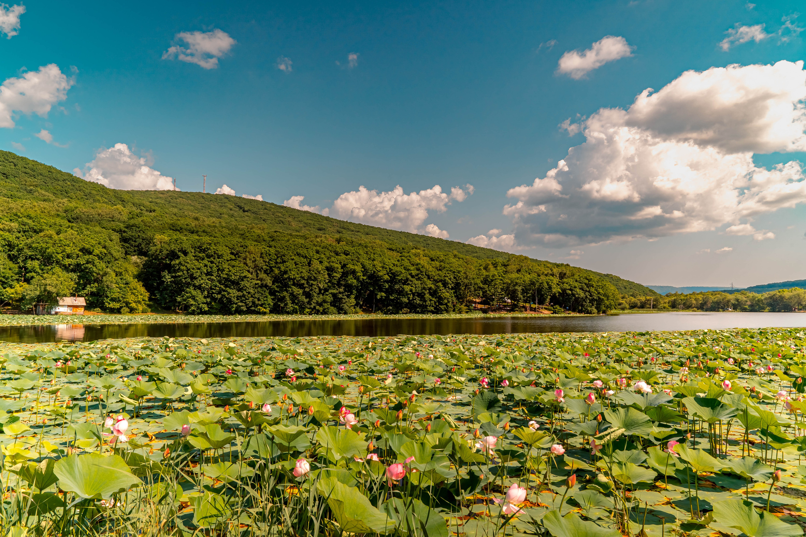 ДАЛЬНИЙ ВОСТОК. Фото и видео съёмка на заказ. VAU Studia. Москва