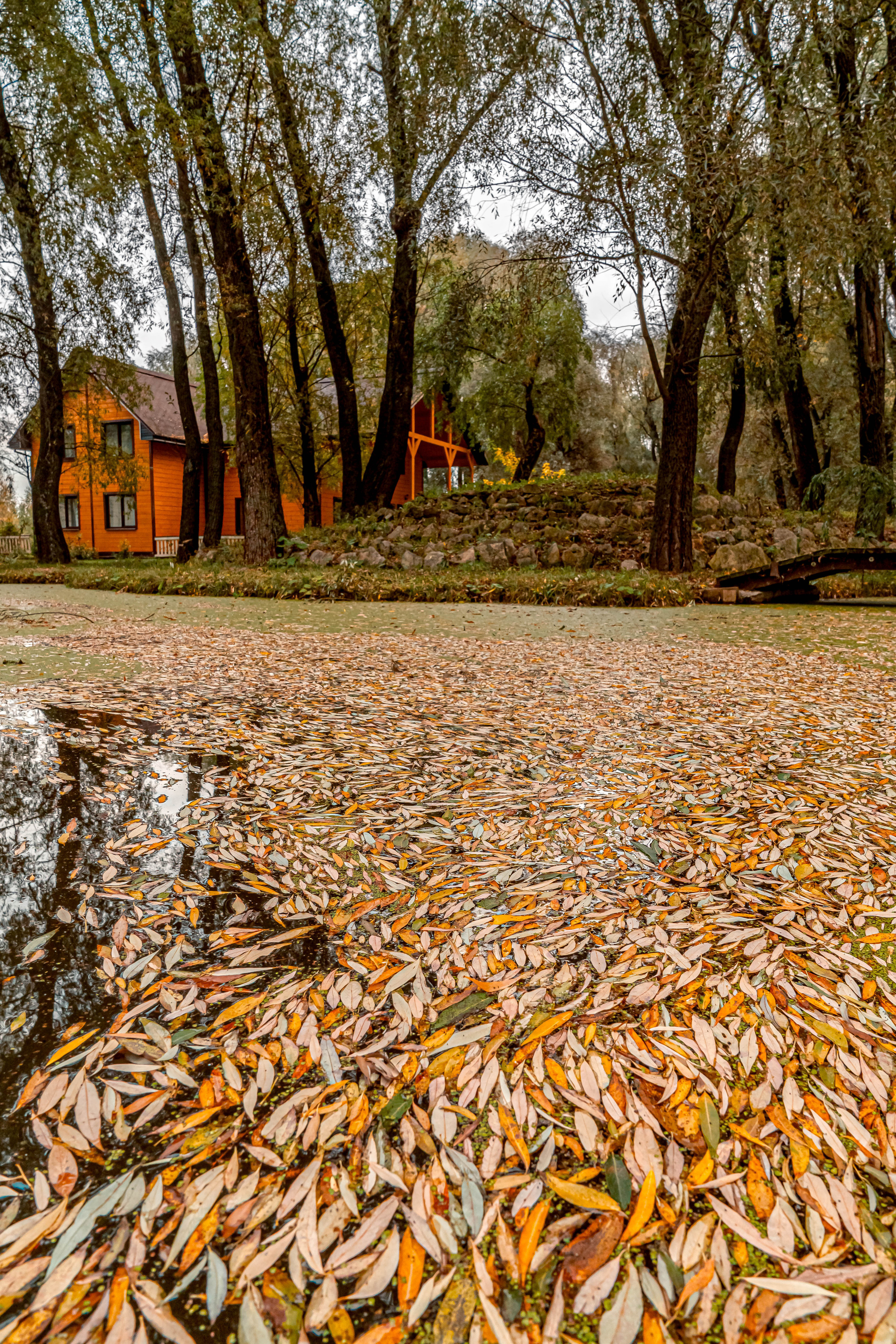 ПАРК-ОТЕЛЬ «ОСТРОВ». Фото и видео съёмка на заказ. VAU Studia. Москва
