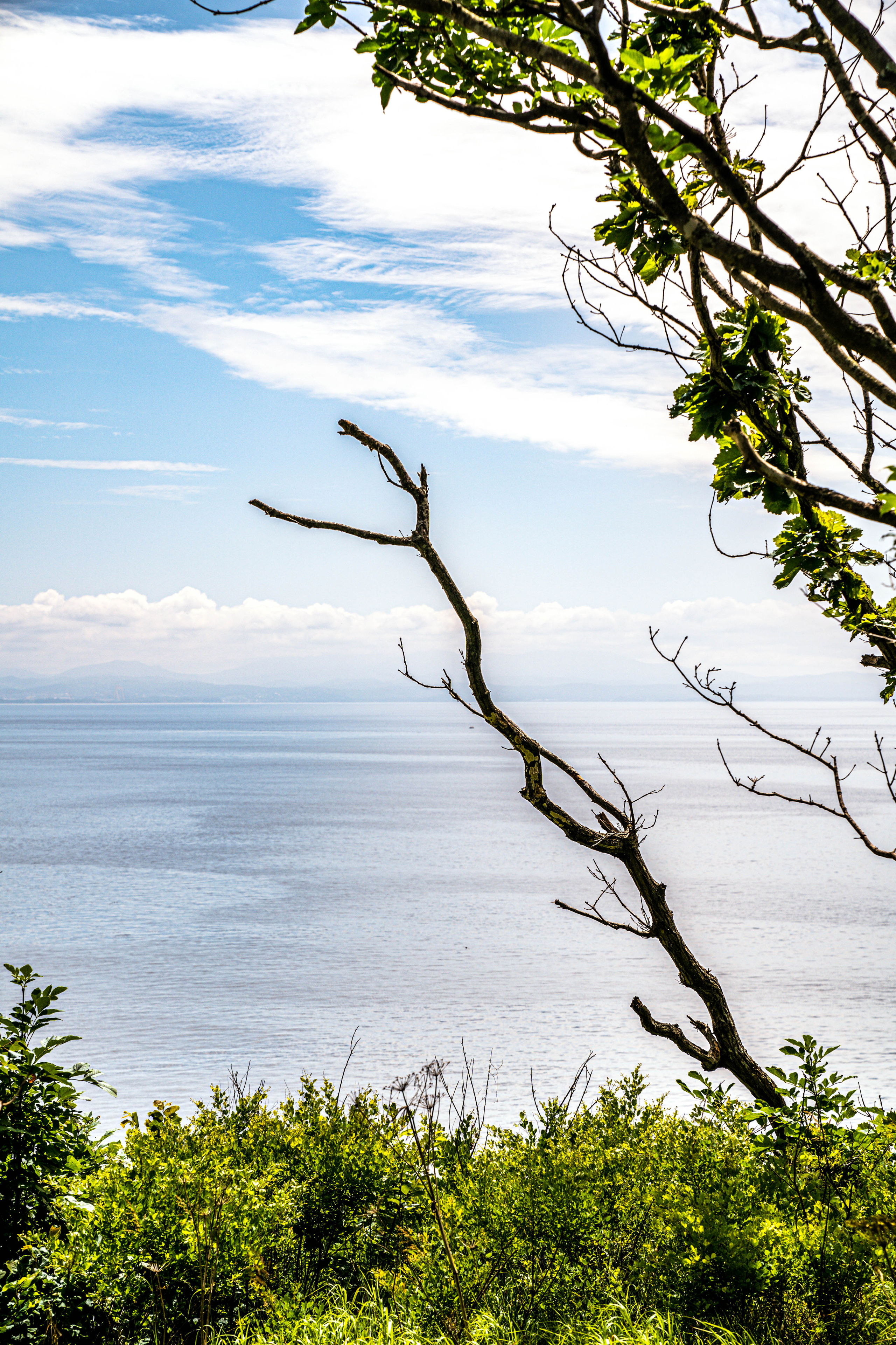 ДАЛЬНИЙ ВОСТОК. Фото и видео съёмка на заказ. VAU Studia. Москва