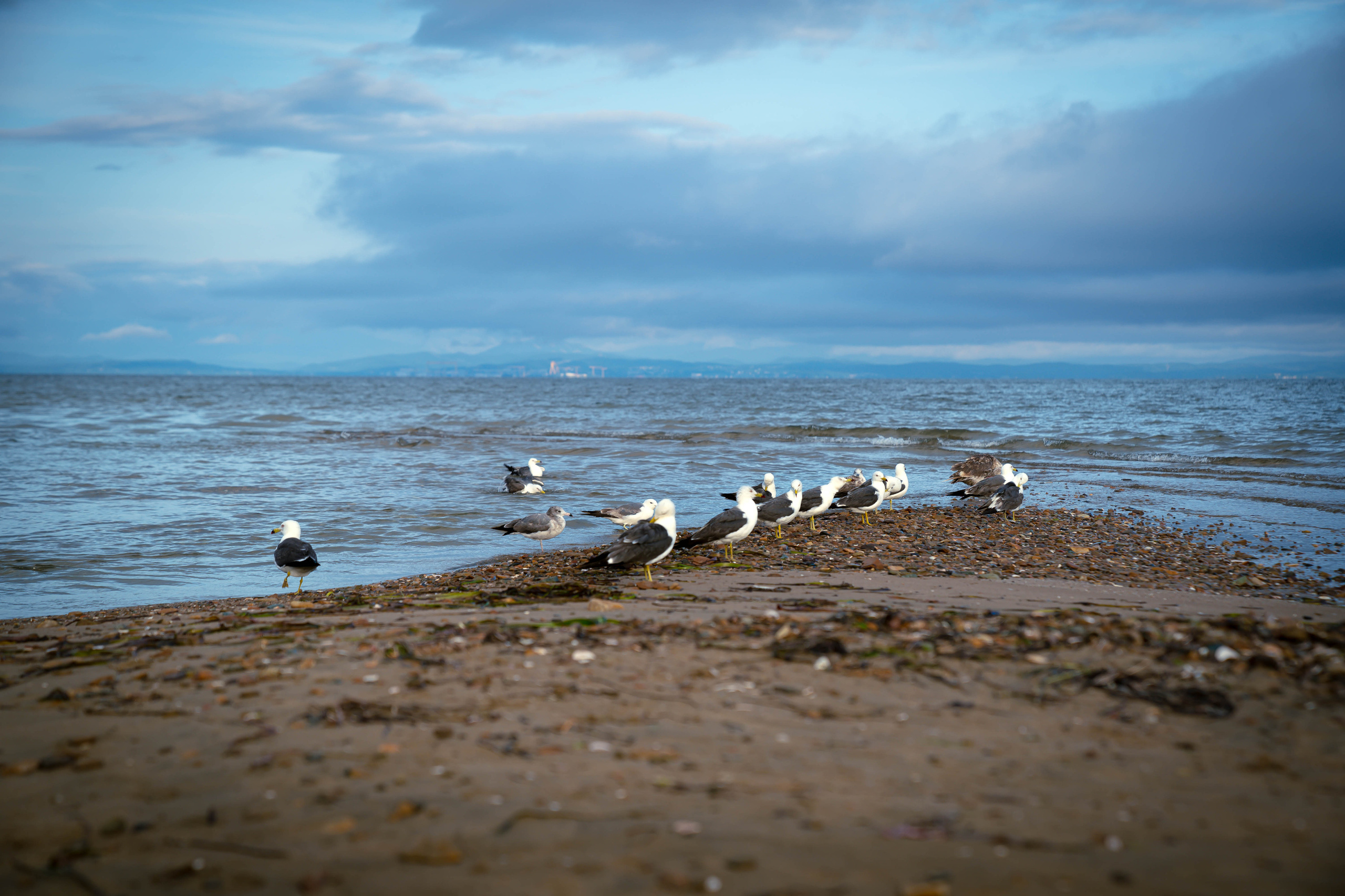 ДАЛЬНИЙ ВОСТОК. Фото и видео съёмка на заказ. VAU Studia. Москва