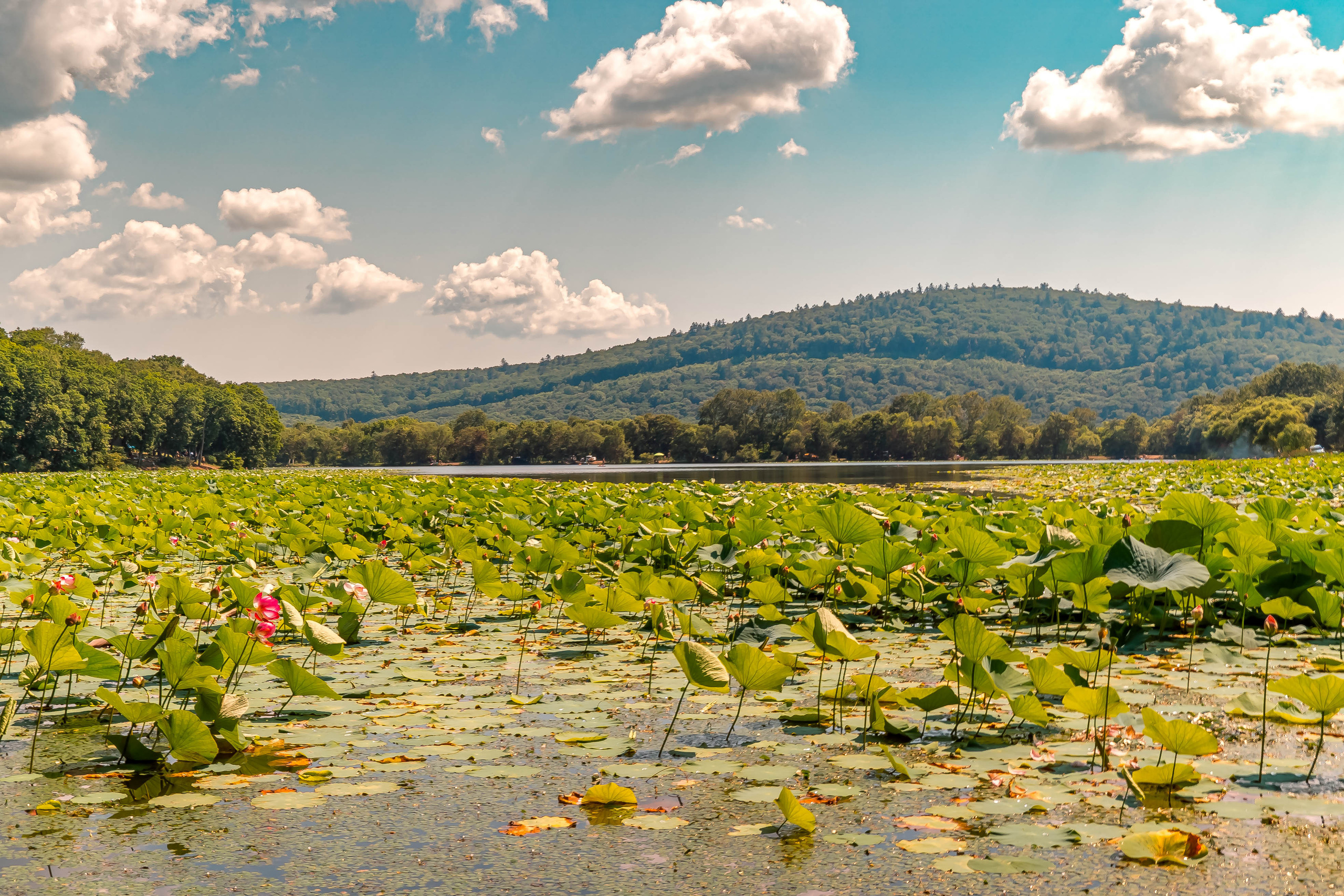 ДАЛЬНИЙ ВОСТОК. Фото и видео съёмка на заказ. VAU Studia. Москва