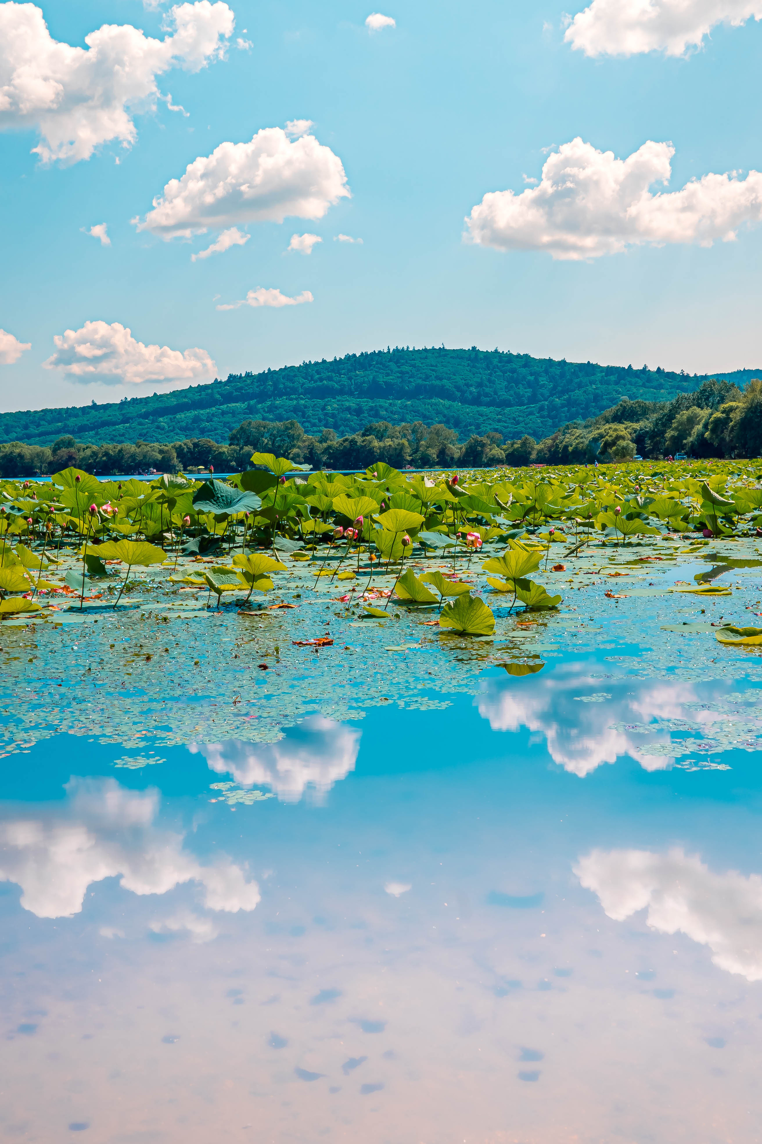 ДАЛЬНИЙ ВОСТОК. Фото и видео съёмка на заказ. VAU Studia. Москва