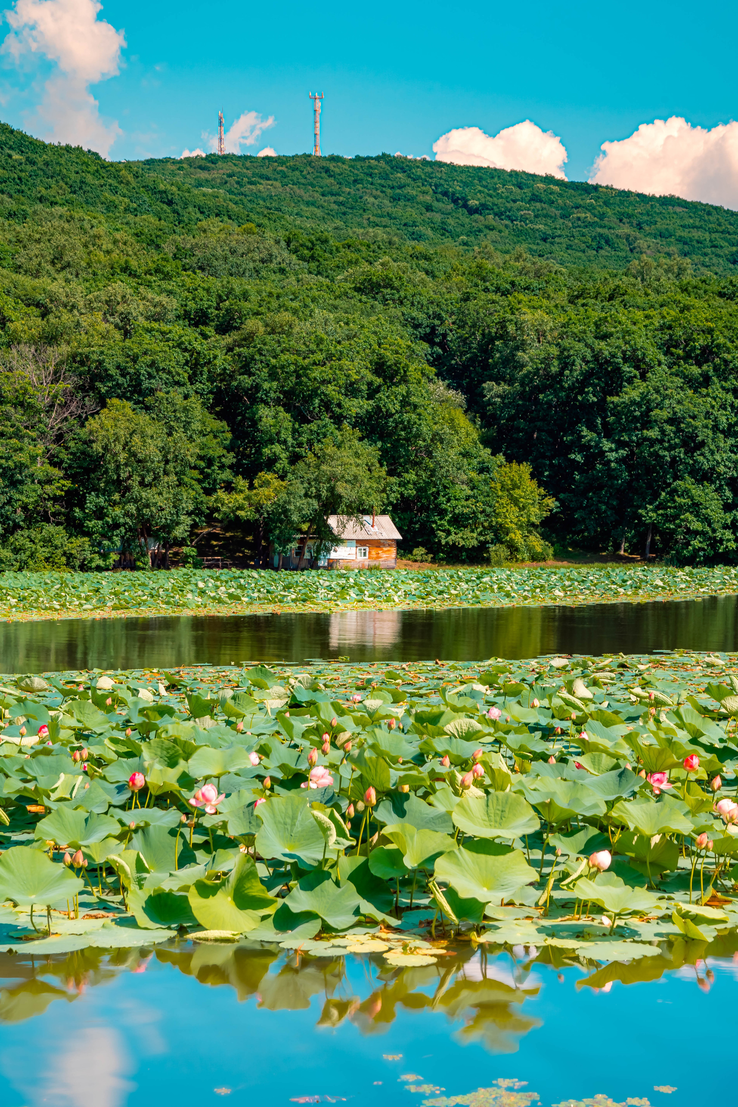 ДАЛЬНИЙ ВОСТОК. Фото и видео съёмка на заказ. VAU Studia. Москва