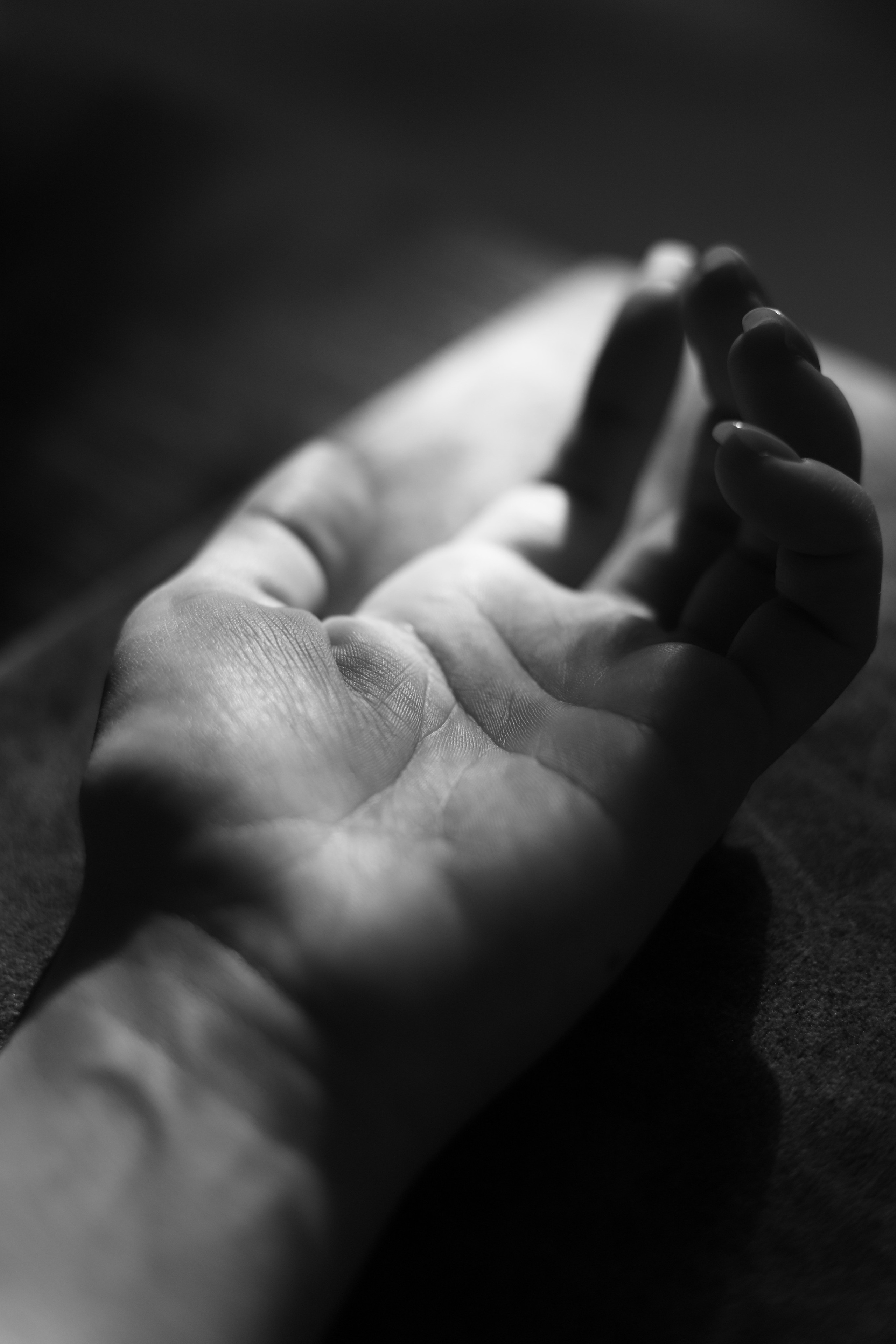 /все что вокруг. Kristina Rashkovskaya