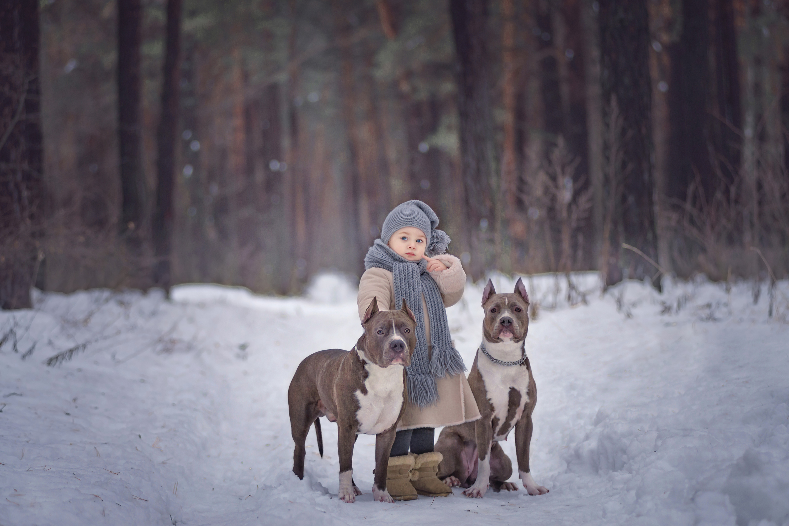 Детская фотосессия. Детский и семейный фотограф в Пензе Камалова Анастасия