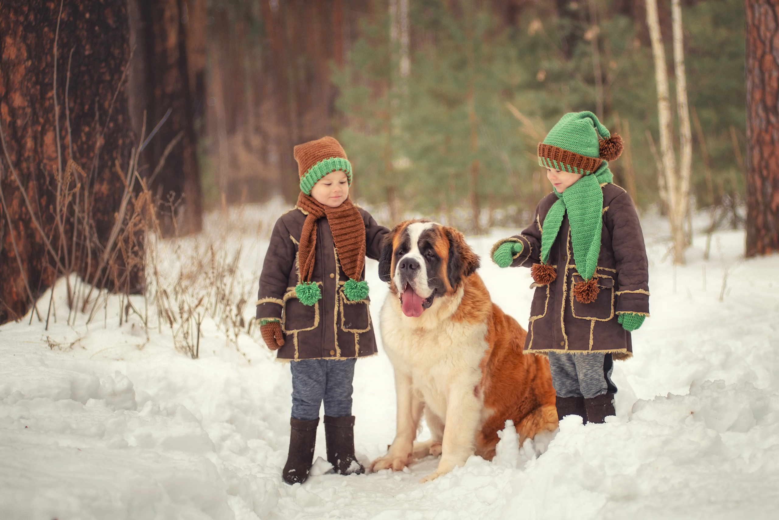 Детская фотосессия. Детский и семейный фотограф в Пензе Камалова Анастасия