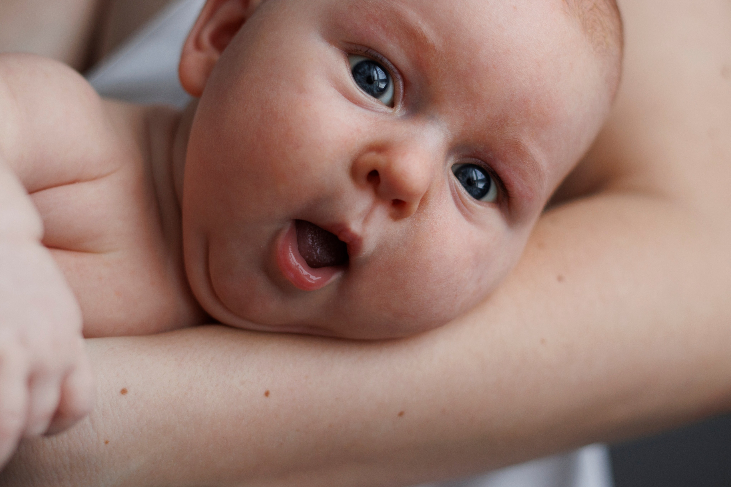 Услуги. Семейный и детский фотограф в Туле