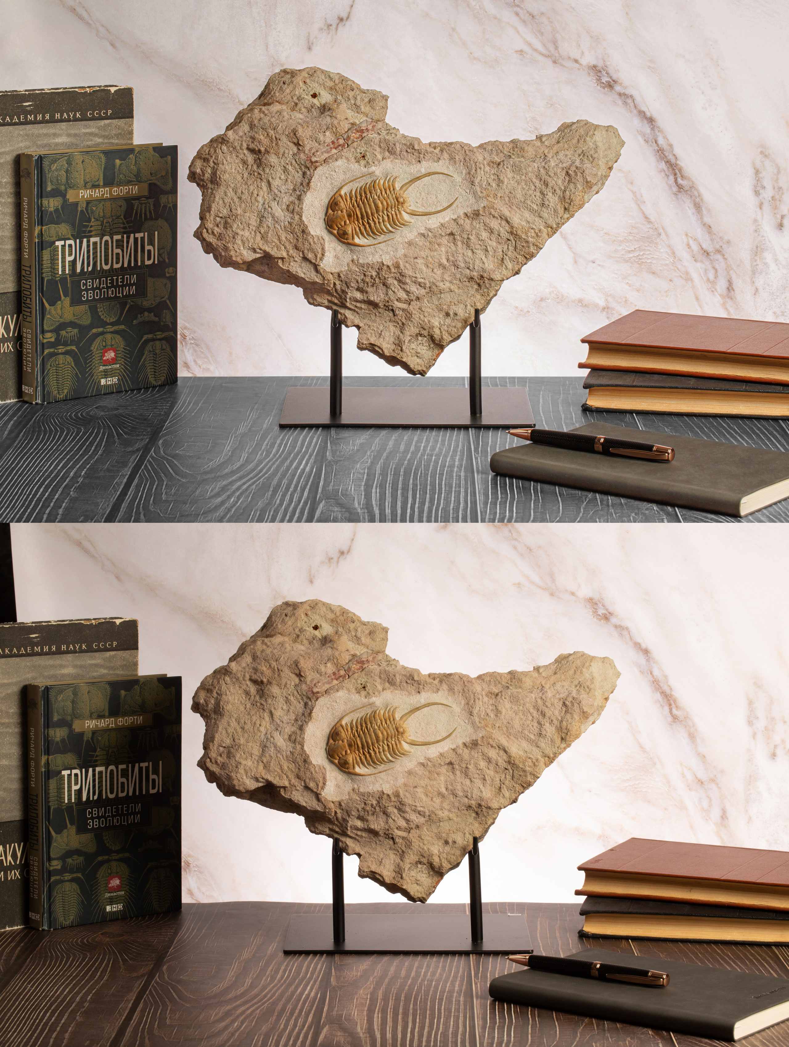 Предметы коллекционирования