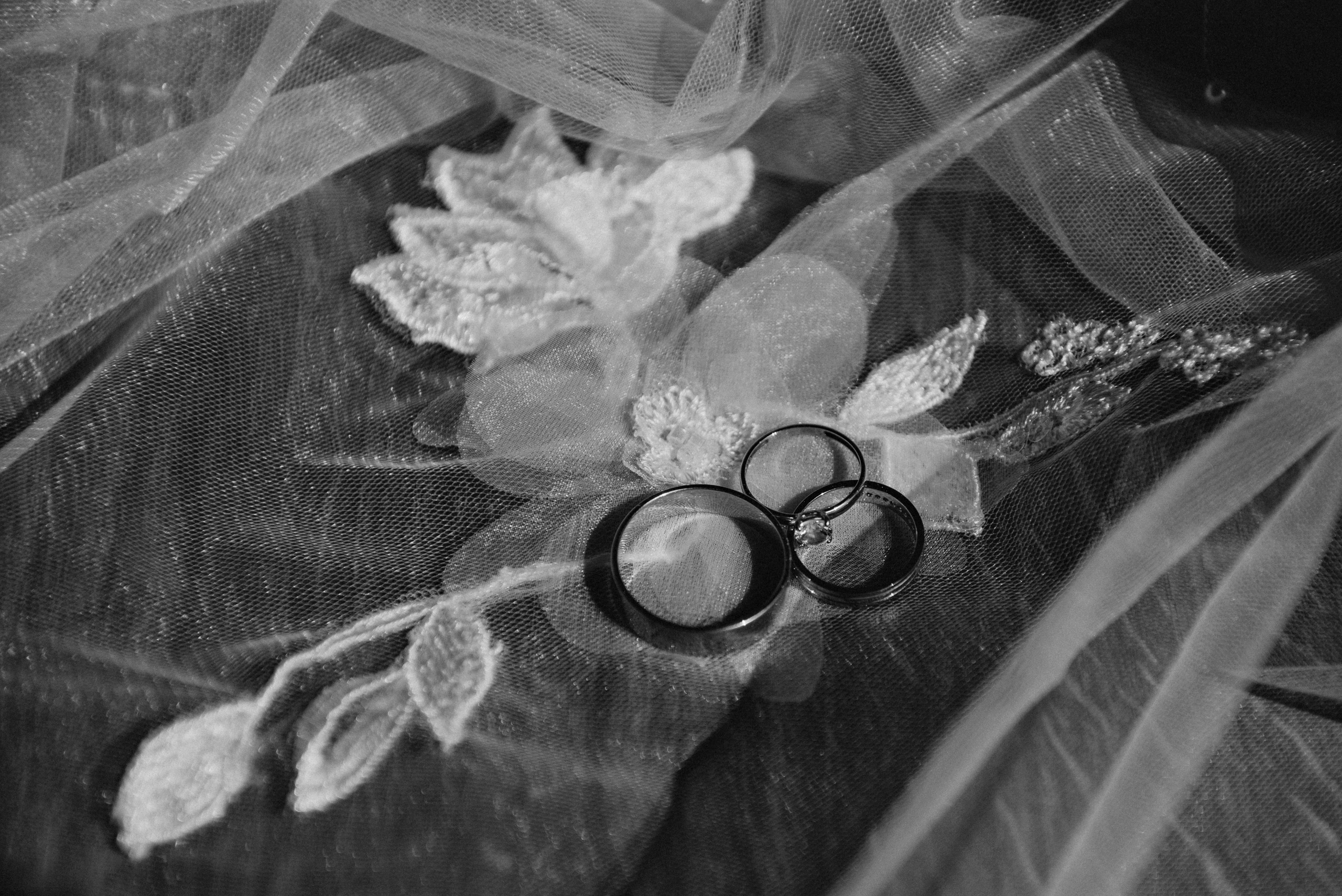 Паша и Лиза. Свадебный фотограф в Тамбове и области