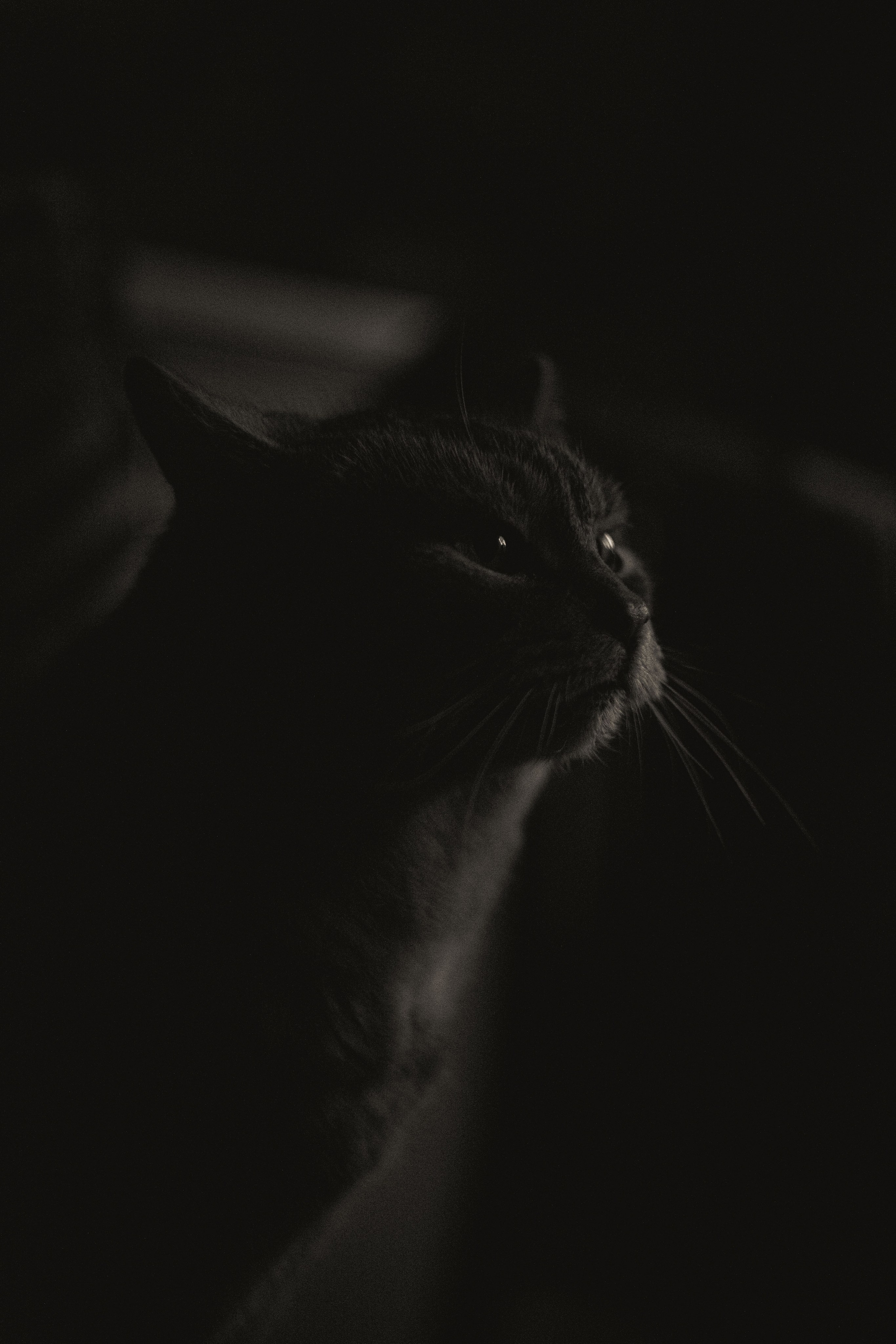 Характер. Dmitriy [KCCC] is a pretty cool photographer