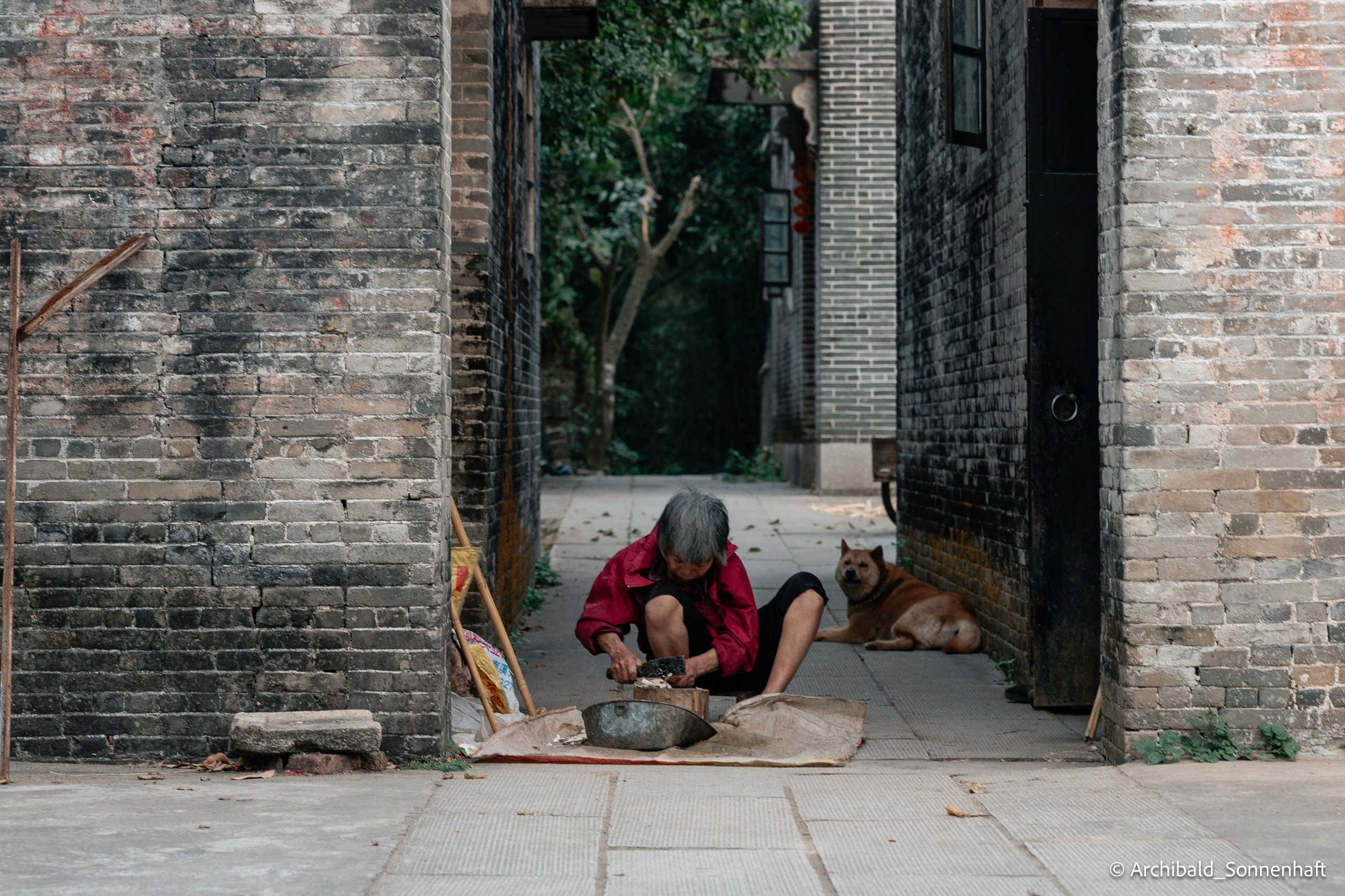 Diaolou in Kaiping. Photographer in Guangzhou, China. Archibald Sonnenhaft