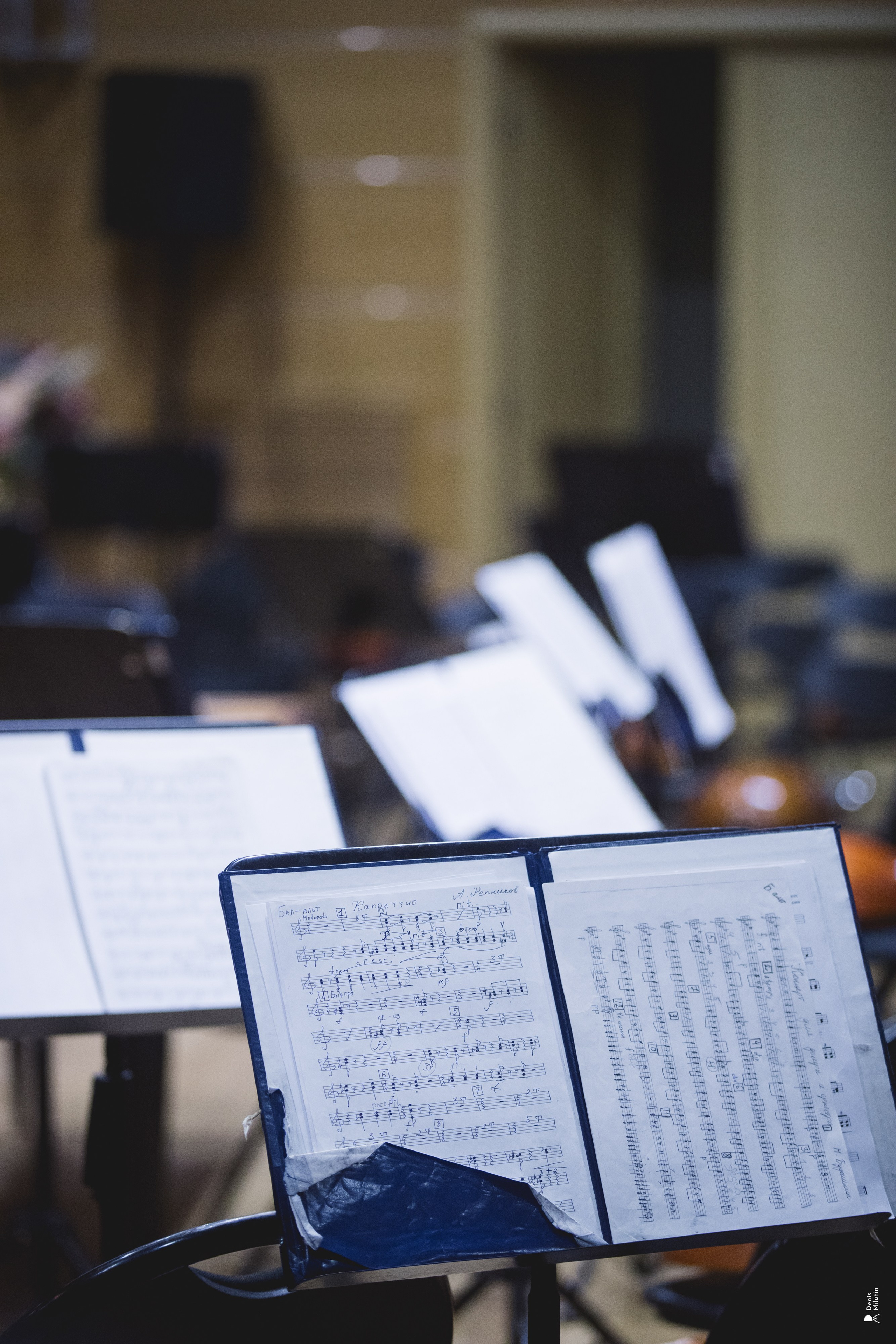 Концерт в консерватории. Портретный фотограф Денис Милютин