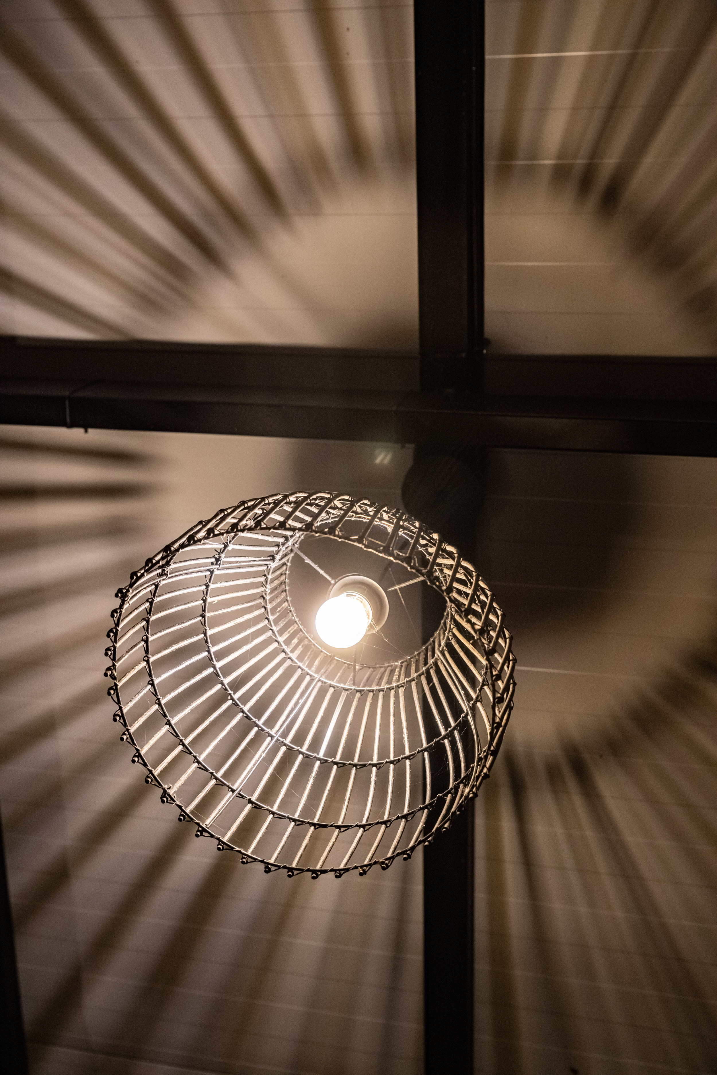 Встреча выпускников в Сенакилеби. Портретный фотограф Денис Милютин