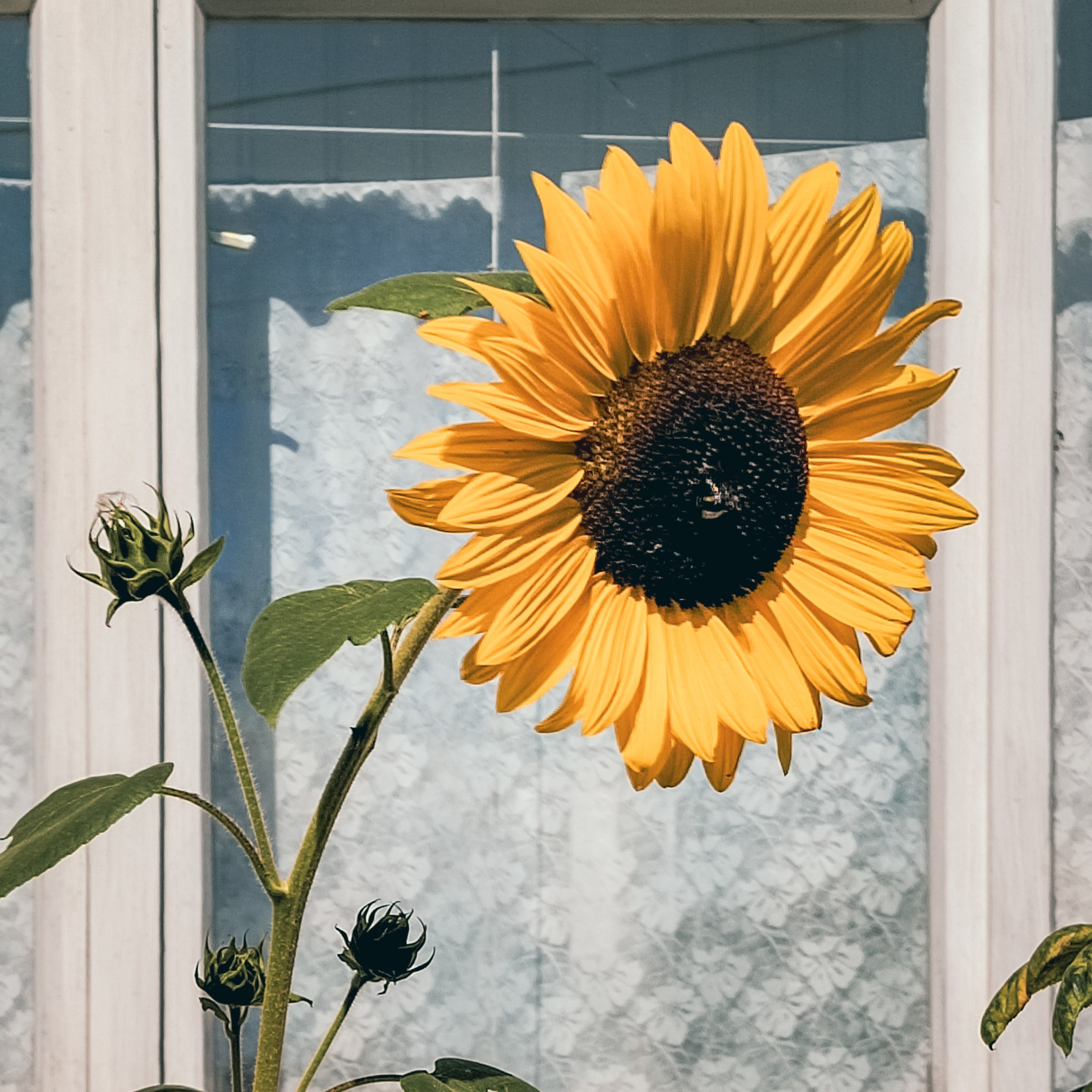 Street photo. Фотограф (photographer) Lischinski Vitaliy