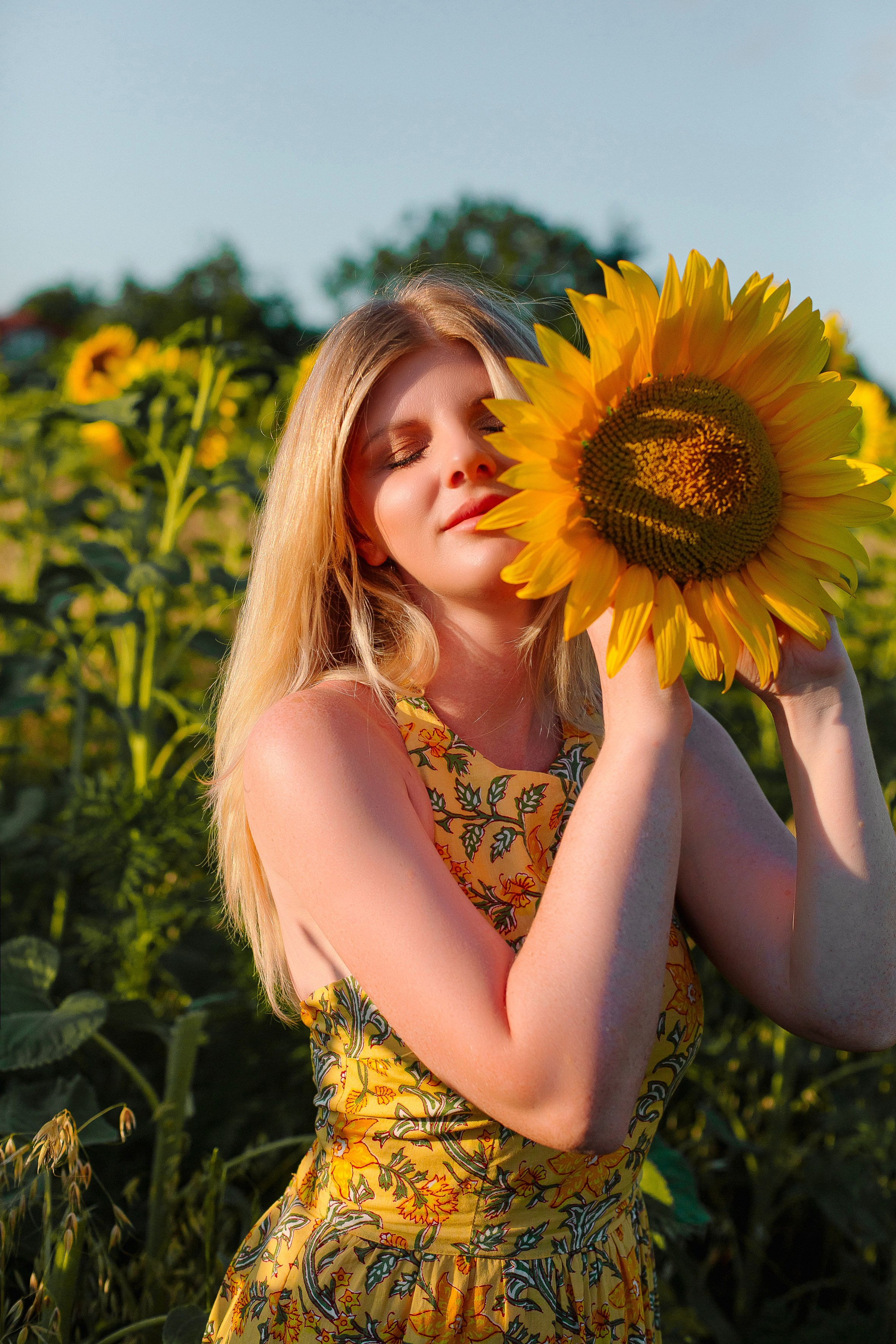 Подсолнухи. Выпускные альбомы Натальи Бутко: Новороссийск, Анапа, Геленджик