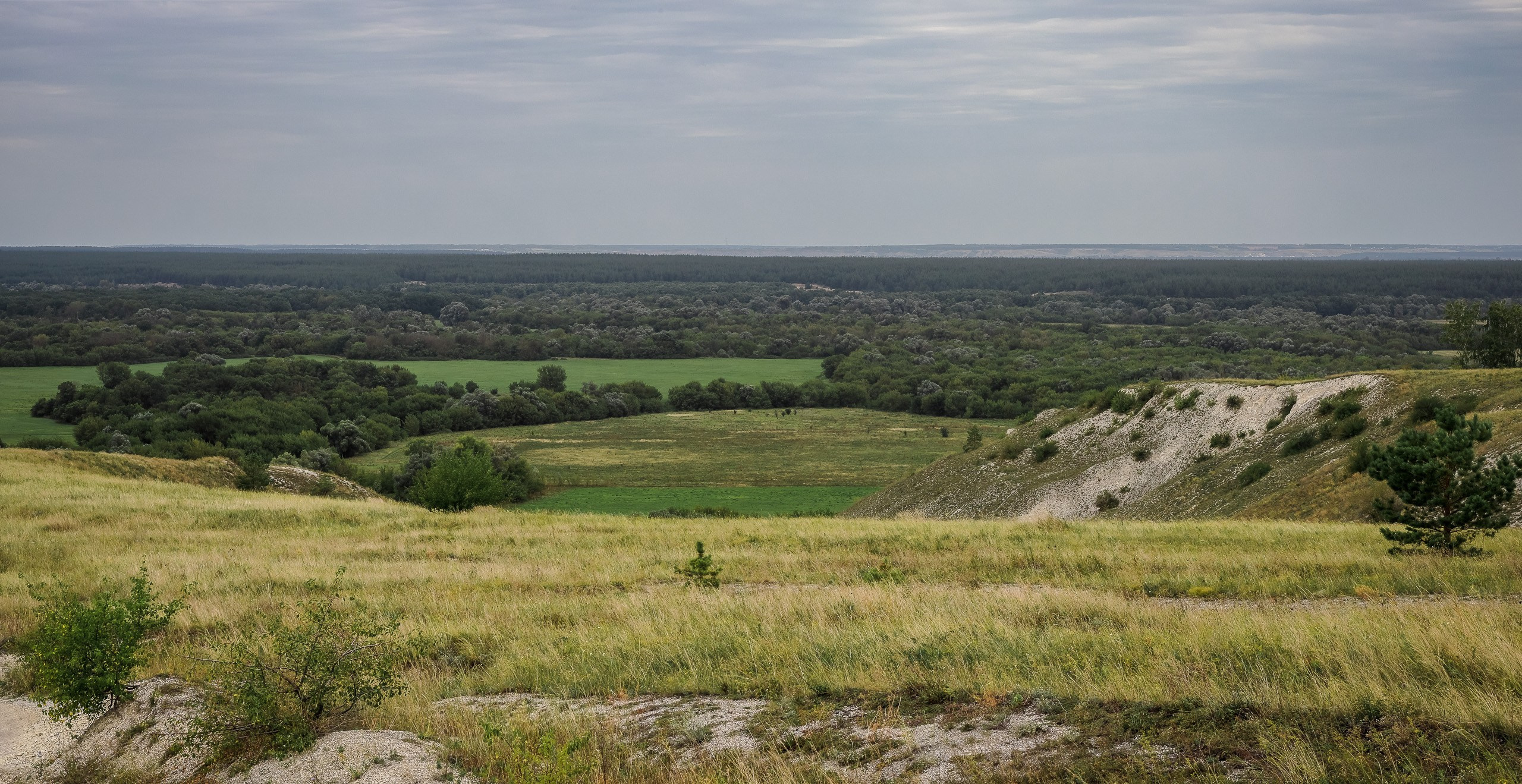 Вид на каньон в меловых горах Дивногорья