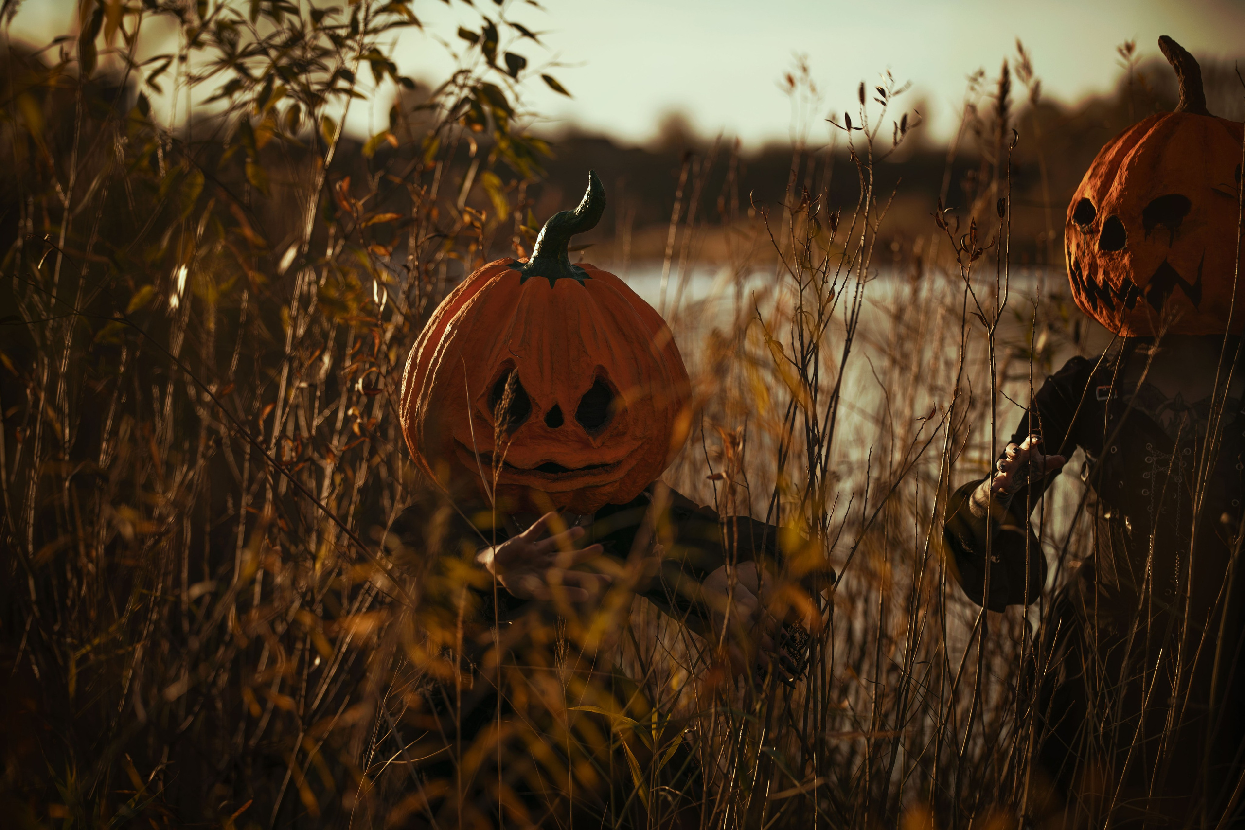 Тыквенный спас. Фотохудожник из города Пскова