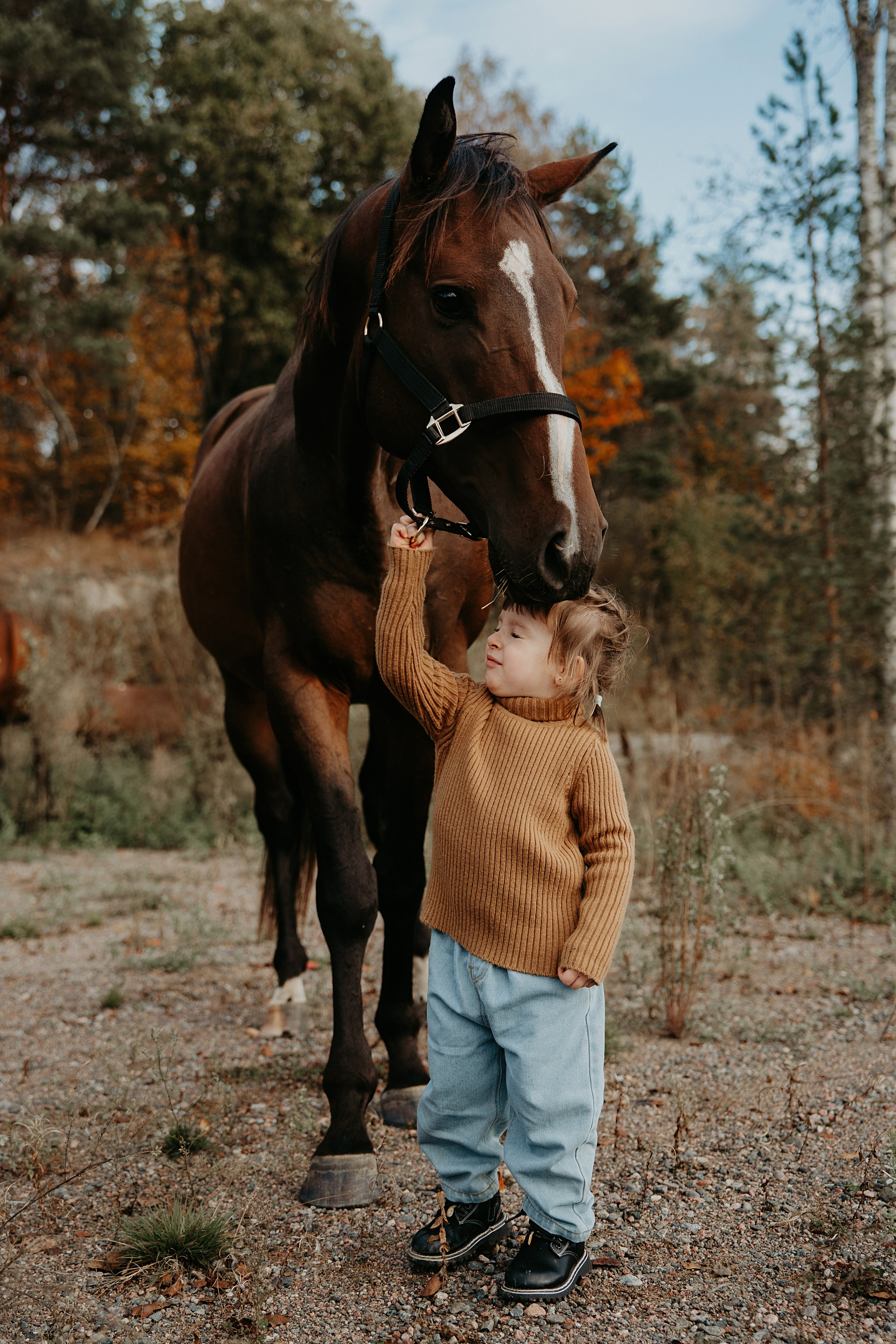 Конные. Главная