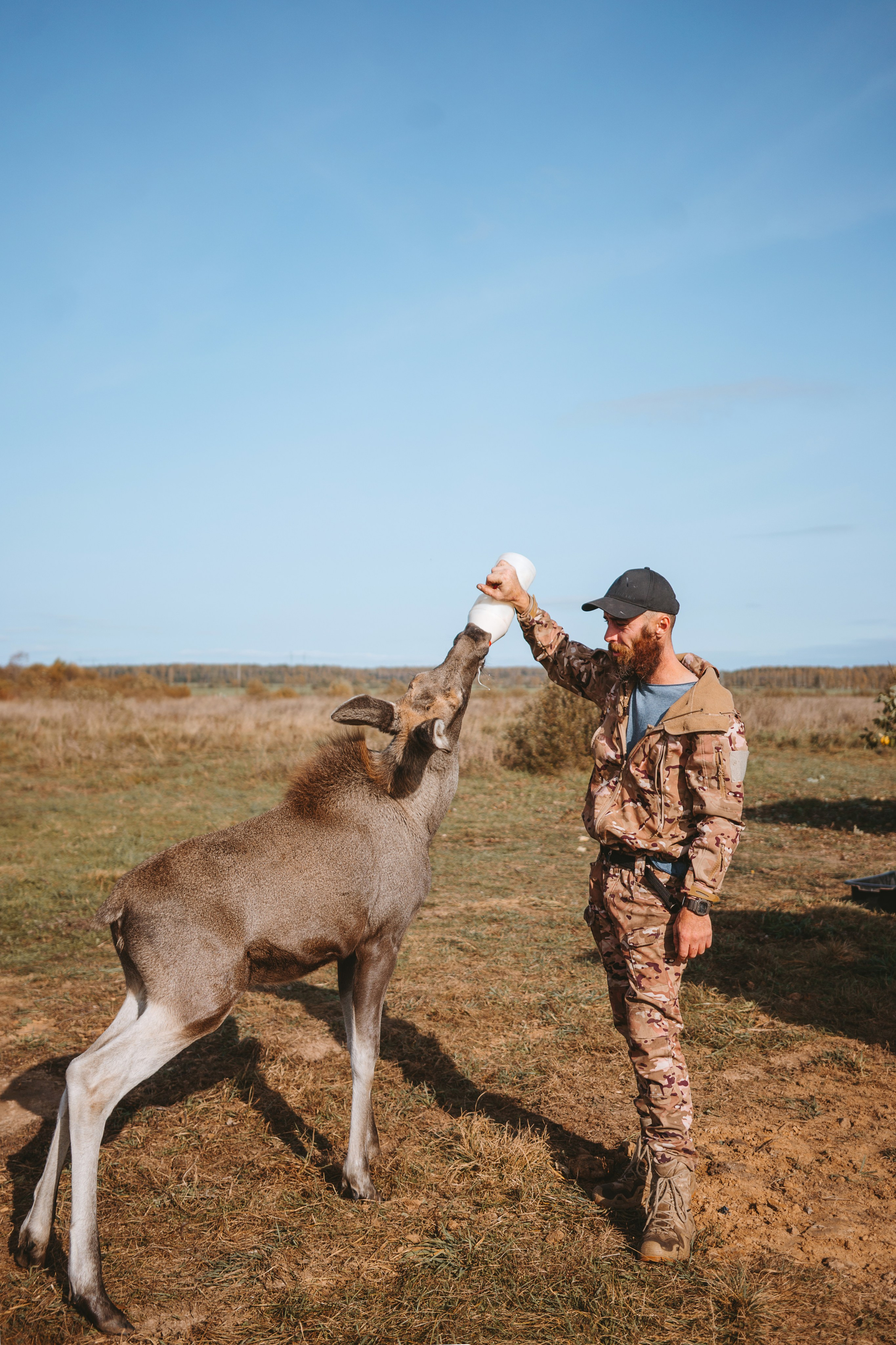Художественные. Главная