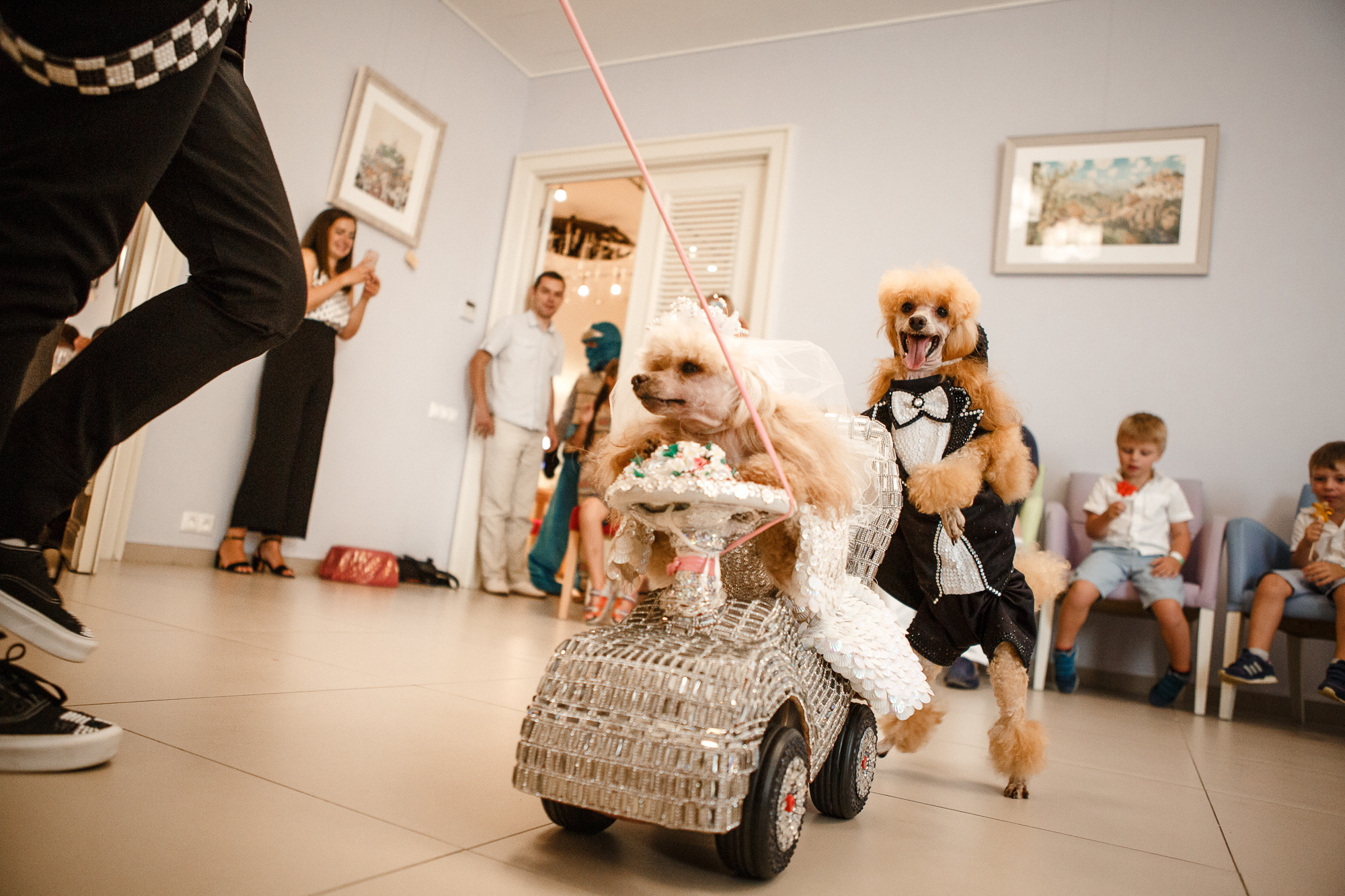 Заказать фотографа на день рождения в Москве и других городах. Фотограф на крещение и венчание, дни рождения и праздники