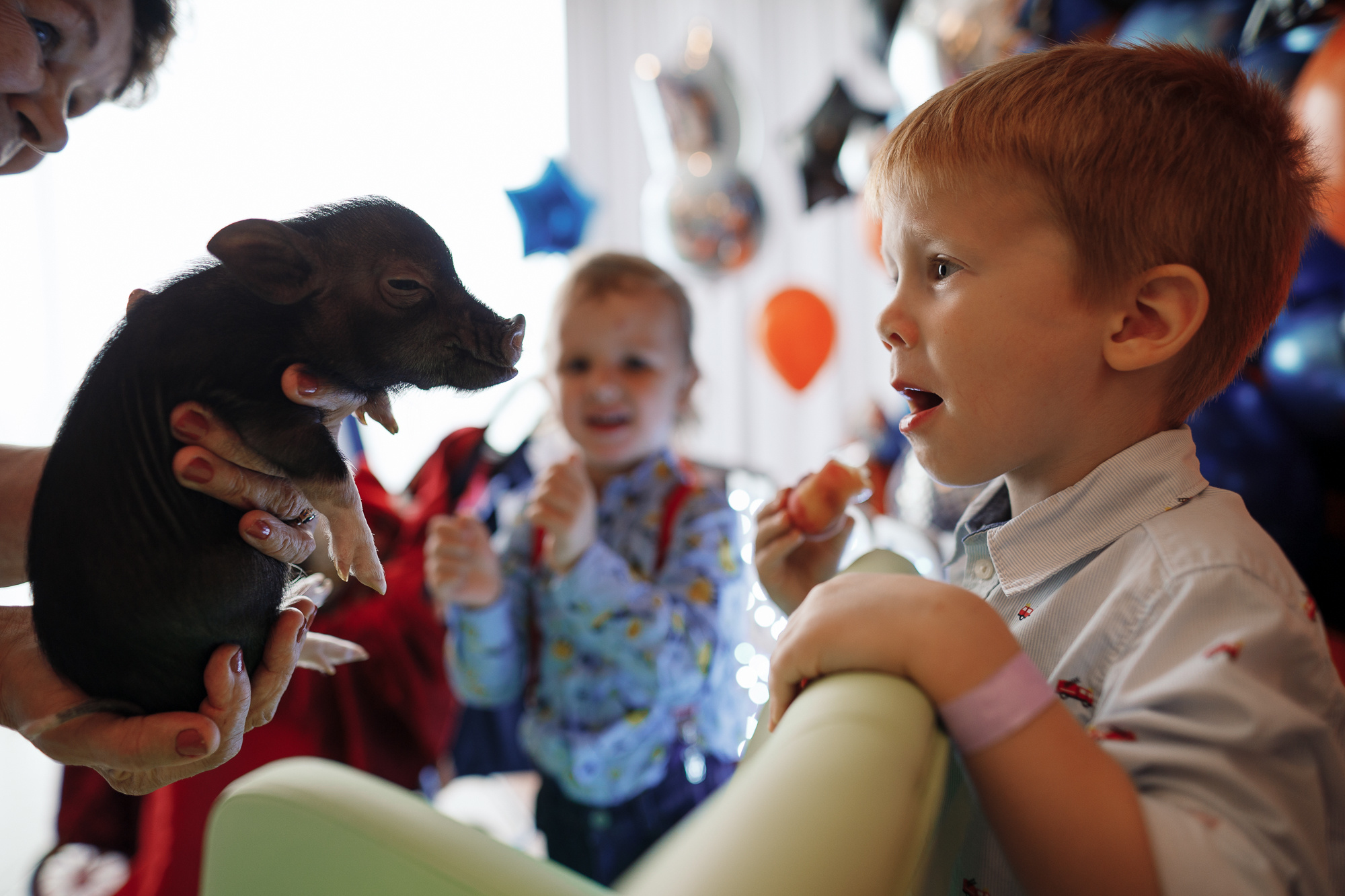 Заказать фотографа на день рождения в Москве и других городах. Фотограф на крещение и венчание, дни рождения и праздники