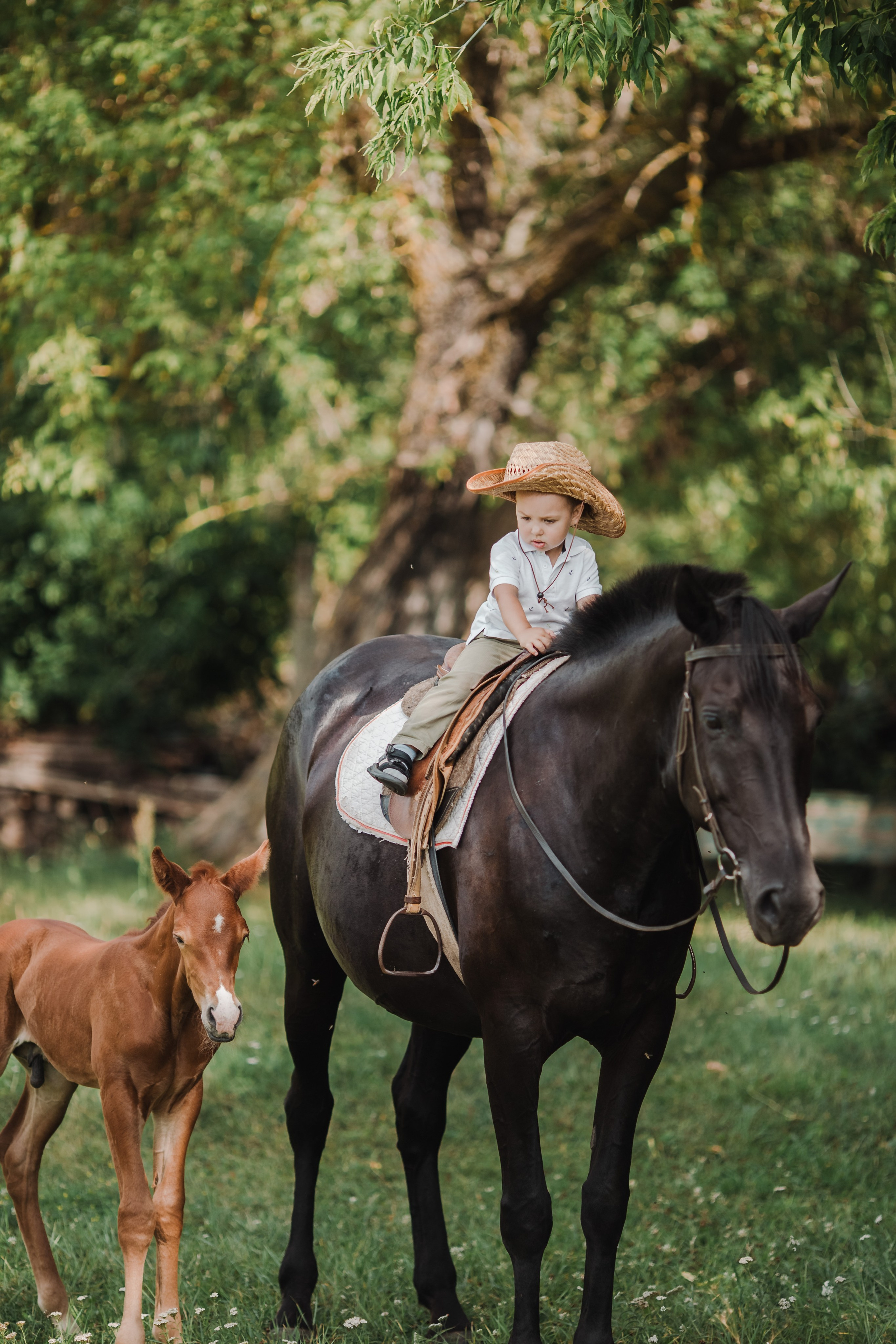Семья на конной ферме. Свадебный и семейный фотограф Екатерина Бубнова