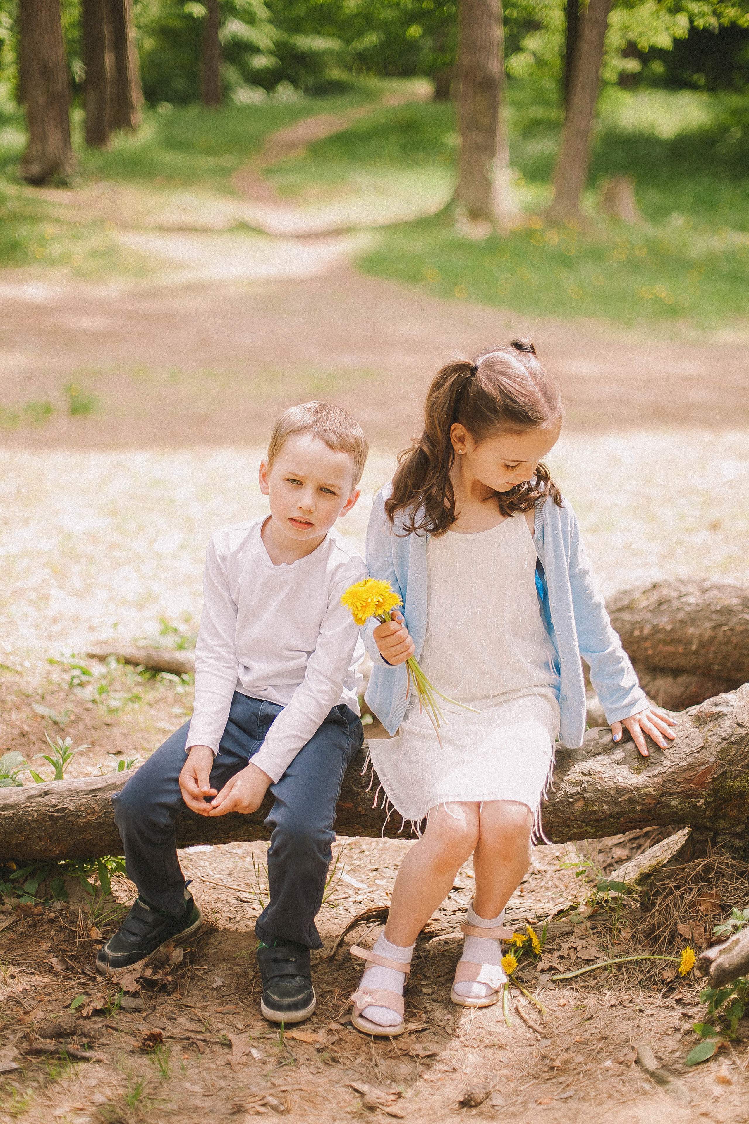 Алина и семья. Свадьбы в формате прогулки, индивидуальные и семейные съёмки