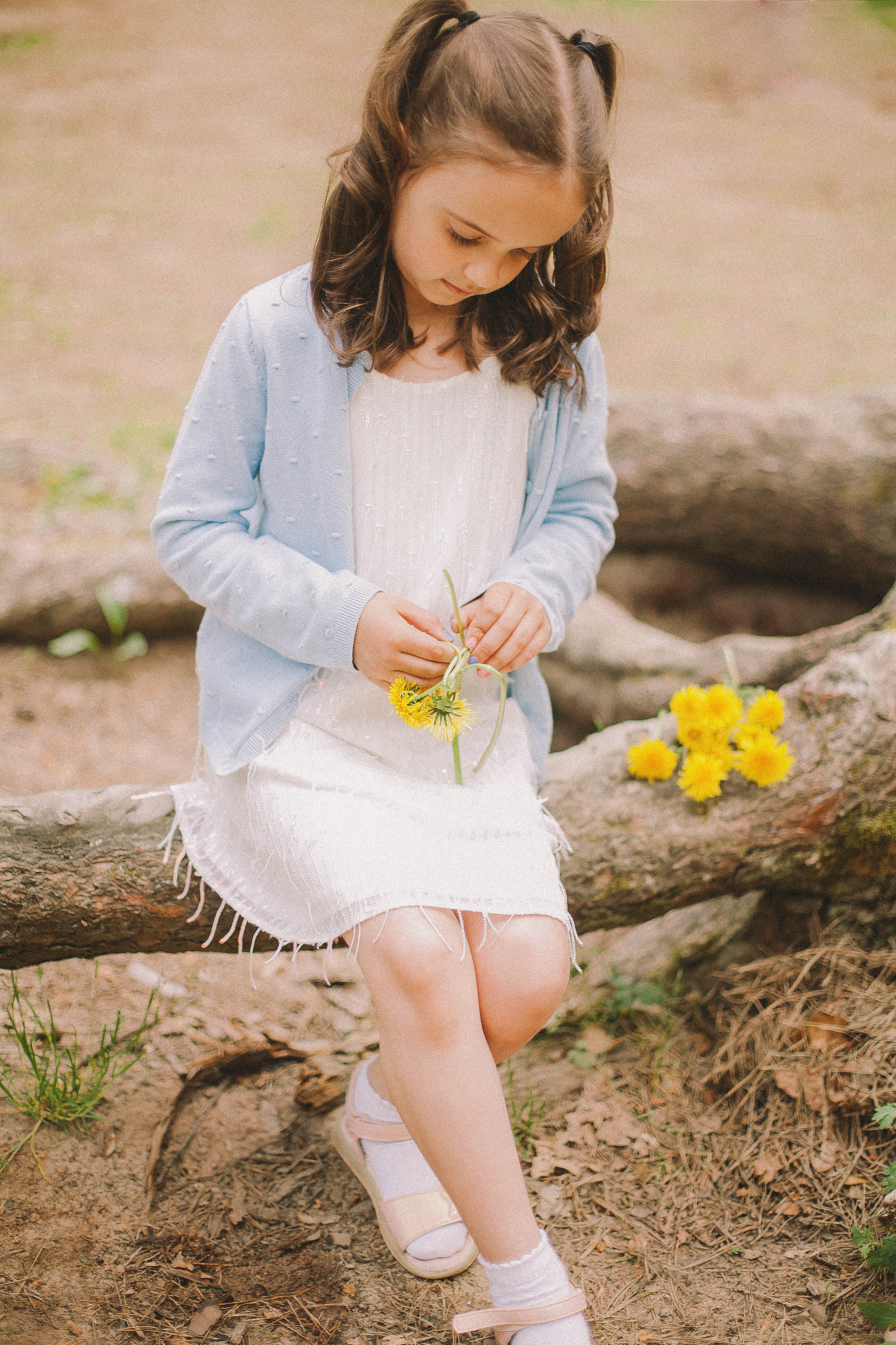 Алина и семья. Свадьбы в формате прогулки, индивидуальные и семейные съёмки