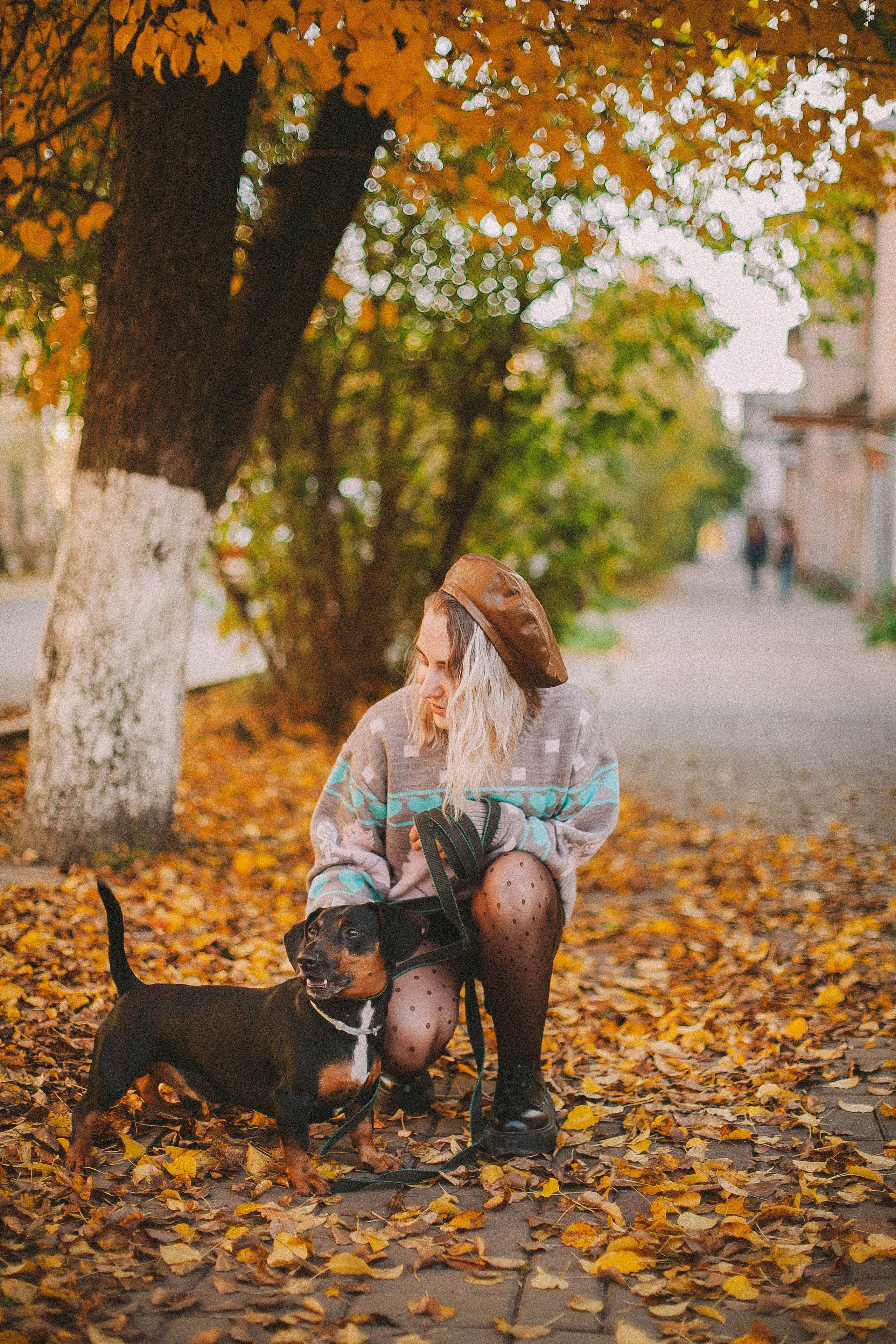 Ксюша и Асгард. Свадьбы в формате прогулки, индивидуальные и семейные съёмки