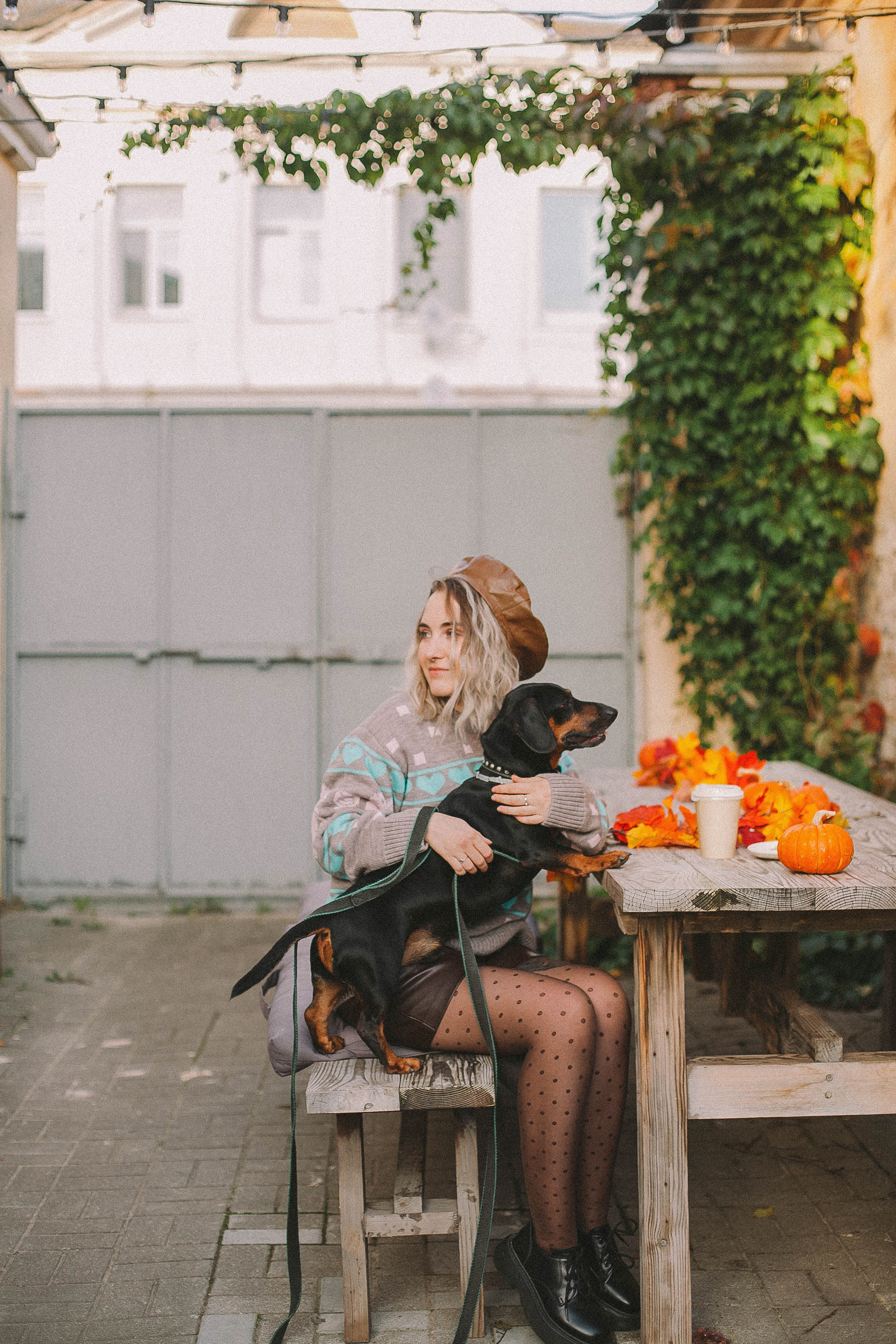 Ксюша и Асгард. Свадьбы в формате прогулки, индивидуальные и семейные съёмки