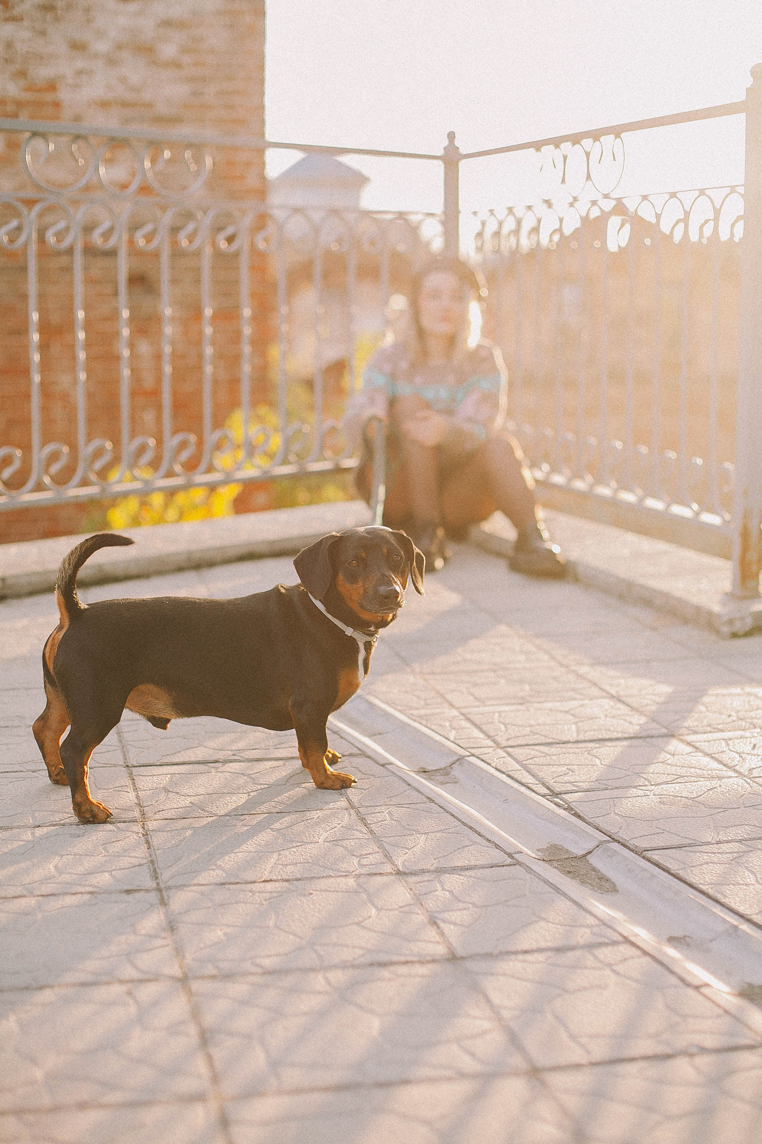 Ксюша и Асгард. Свадьбы в формате прогулки, индивидуальные и семейные съёмки