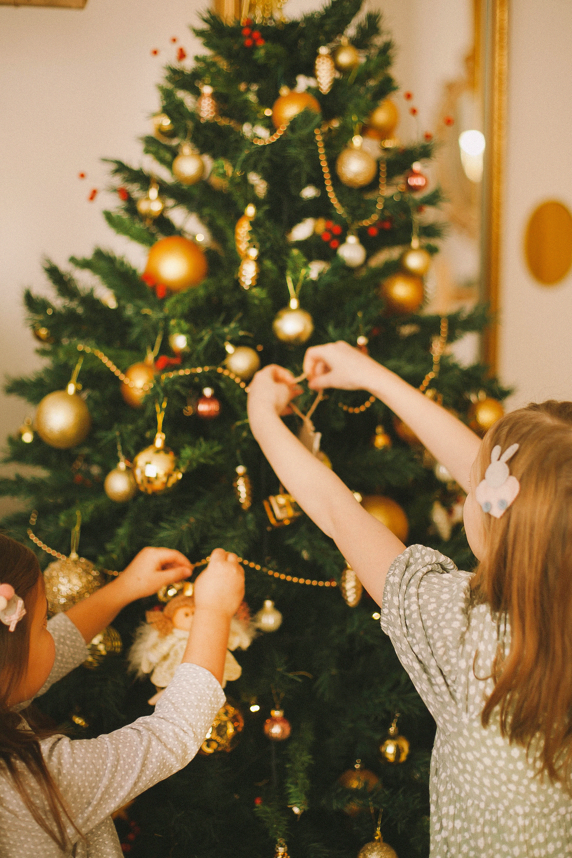 Новый год. Свадьбы в формате прогулки, индивидуальные и семейные съёмки