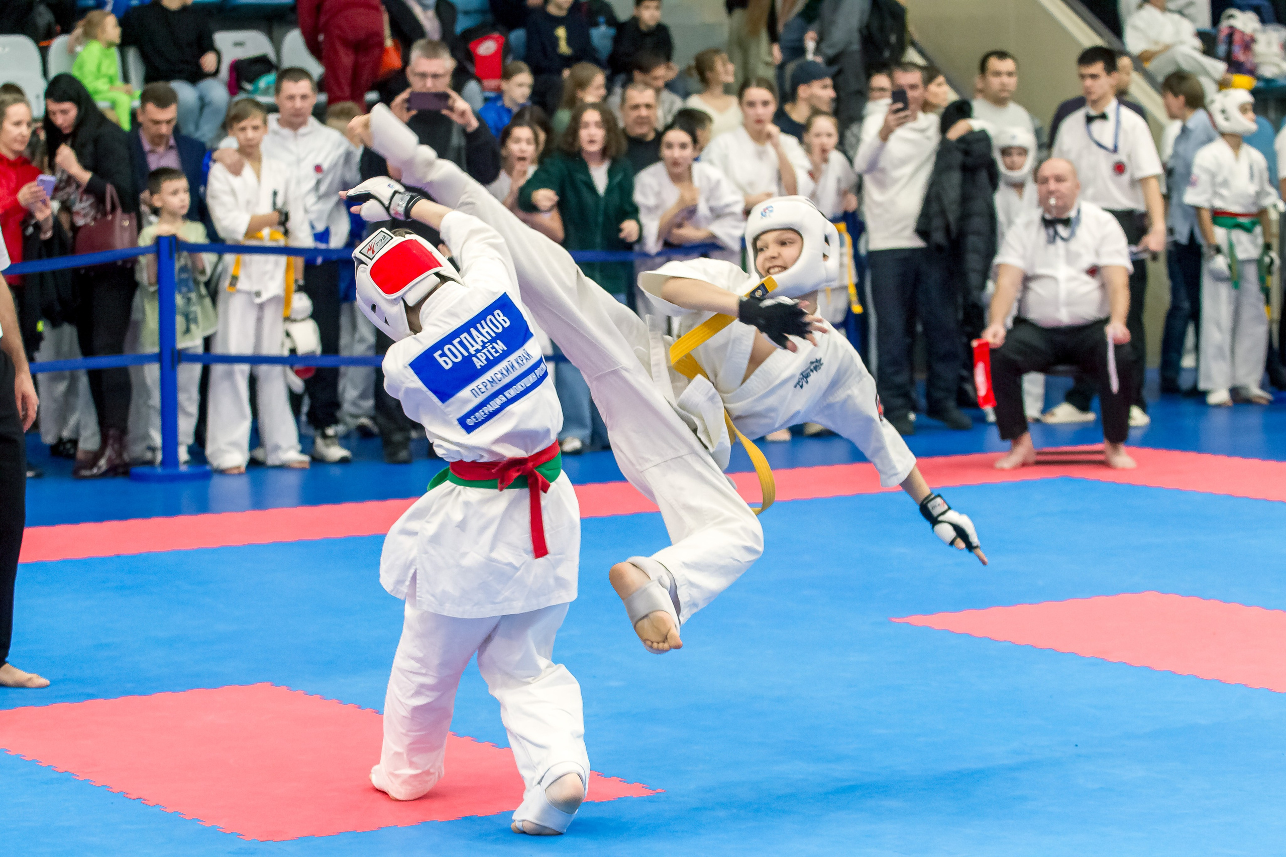 Соревнования по Киокушин памяти С. Увицкого. Репортажная съемка в Москве и области. Анималистика