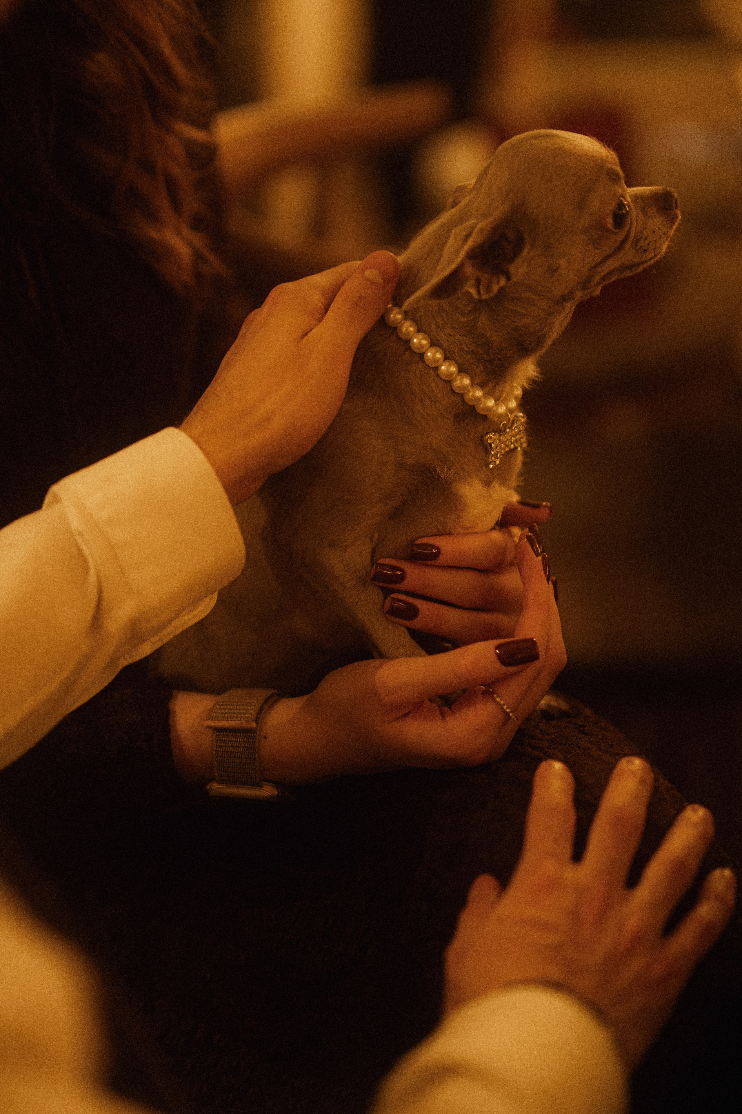 The cutiest. Сентиментальная свадебная фотография