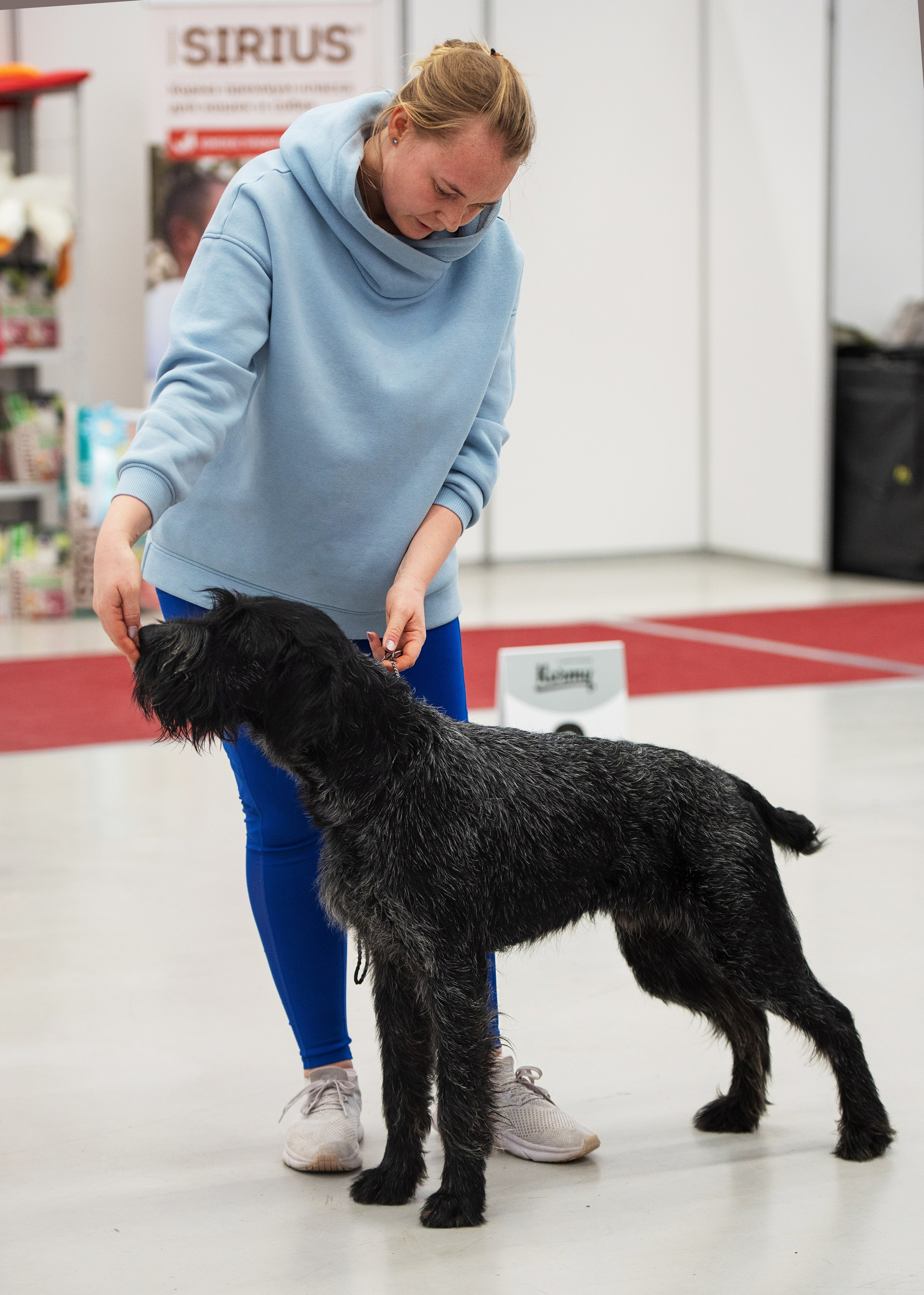 Выставки. Главная