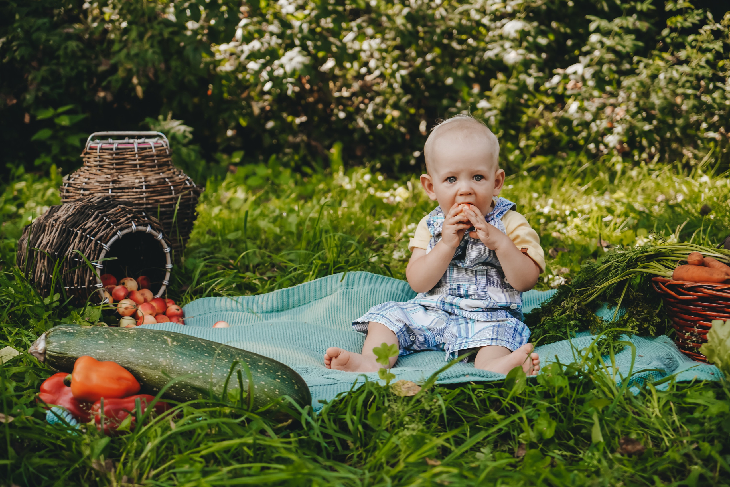 Аня и Рома: маленький фермер. Главная