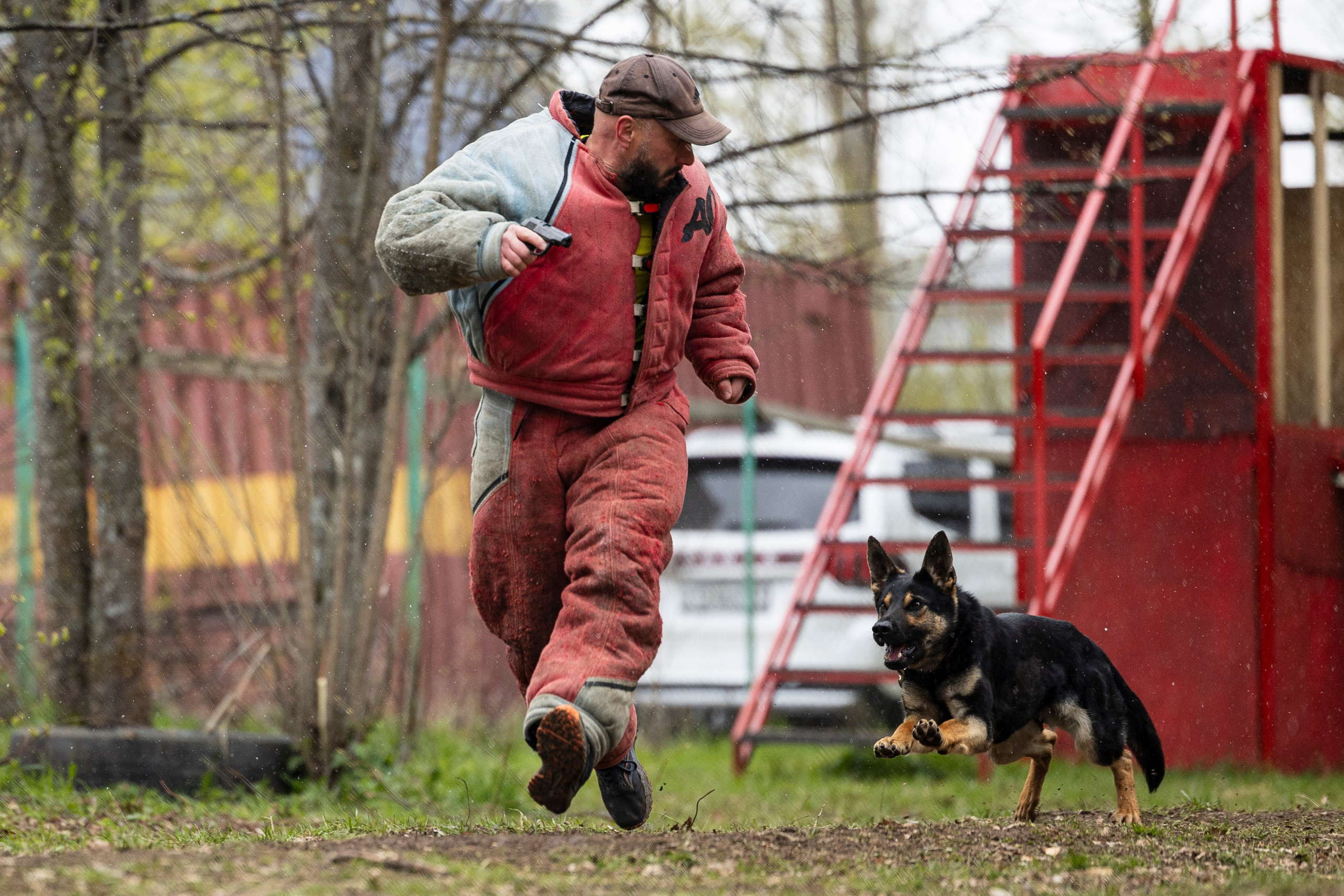 Квалификационные состязания по мондьорингу г. Вологда 11.05.24. Фотограф-анималист Анна Маринич