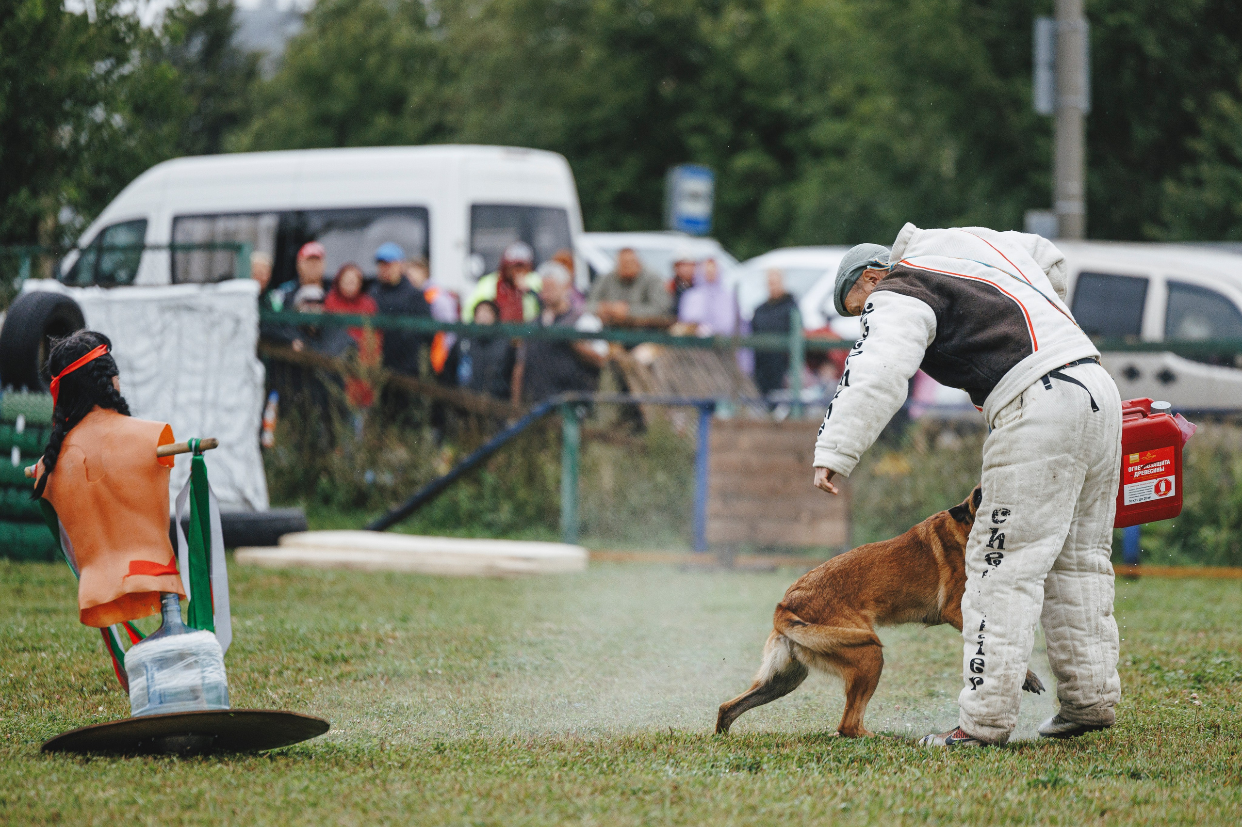 08.08.25-10.08.25 ЧР по мондьорингу г. Вологда. Фотограф-анималист Анна Маринич